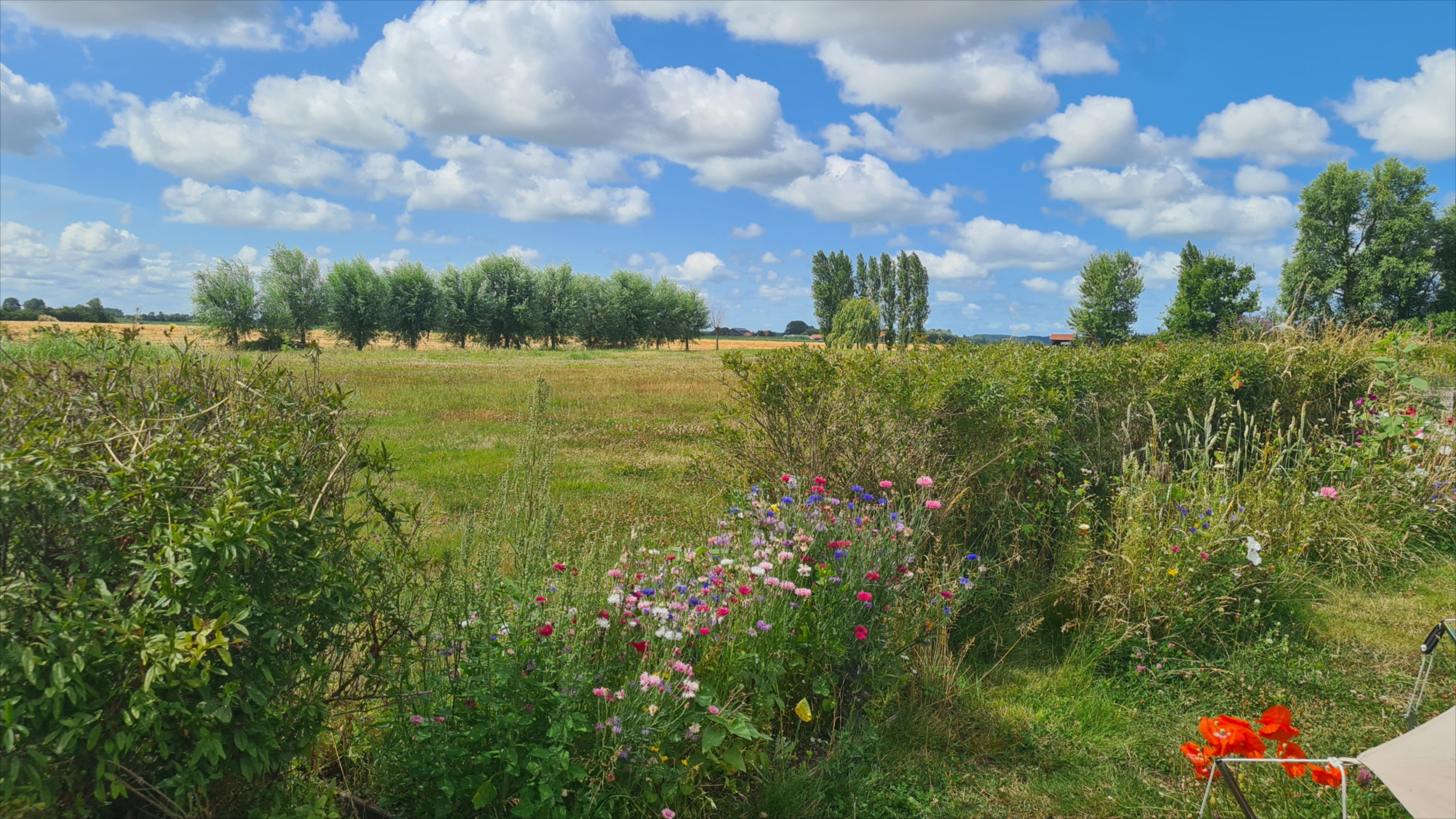 - image: 15