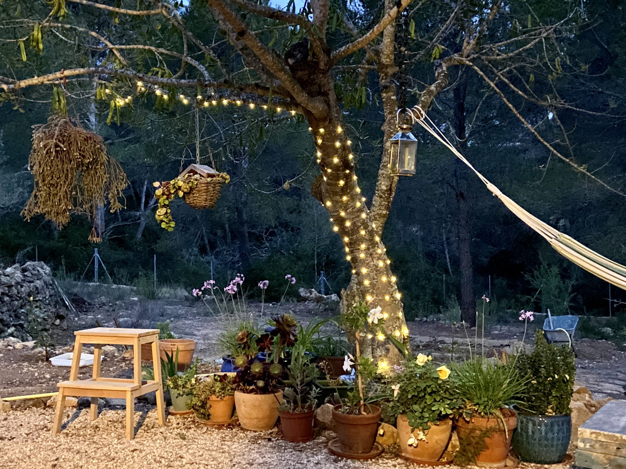 Casa nella natura a l'Ametlla de Mar