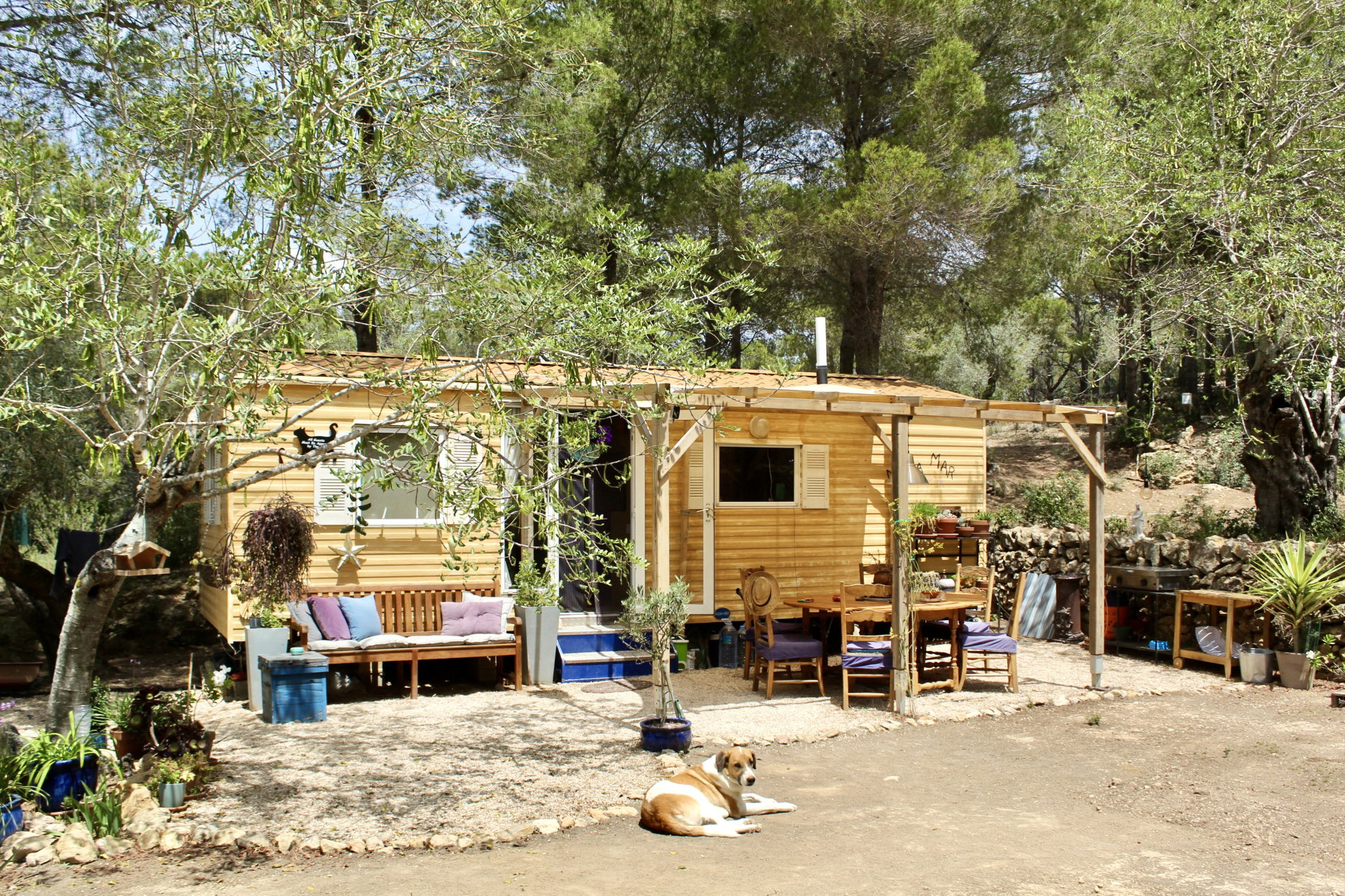 Casa nella natura a l'Ametlla de Mar
