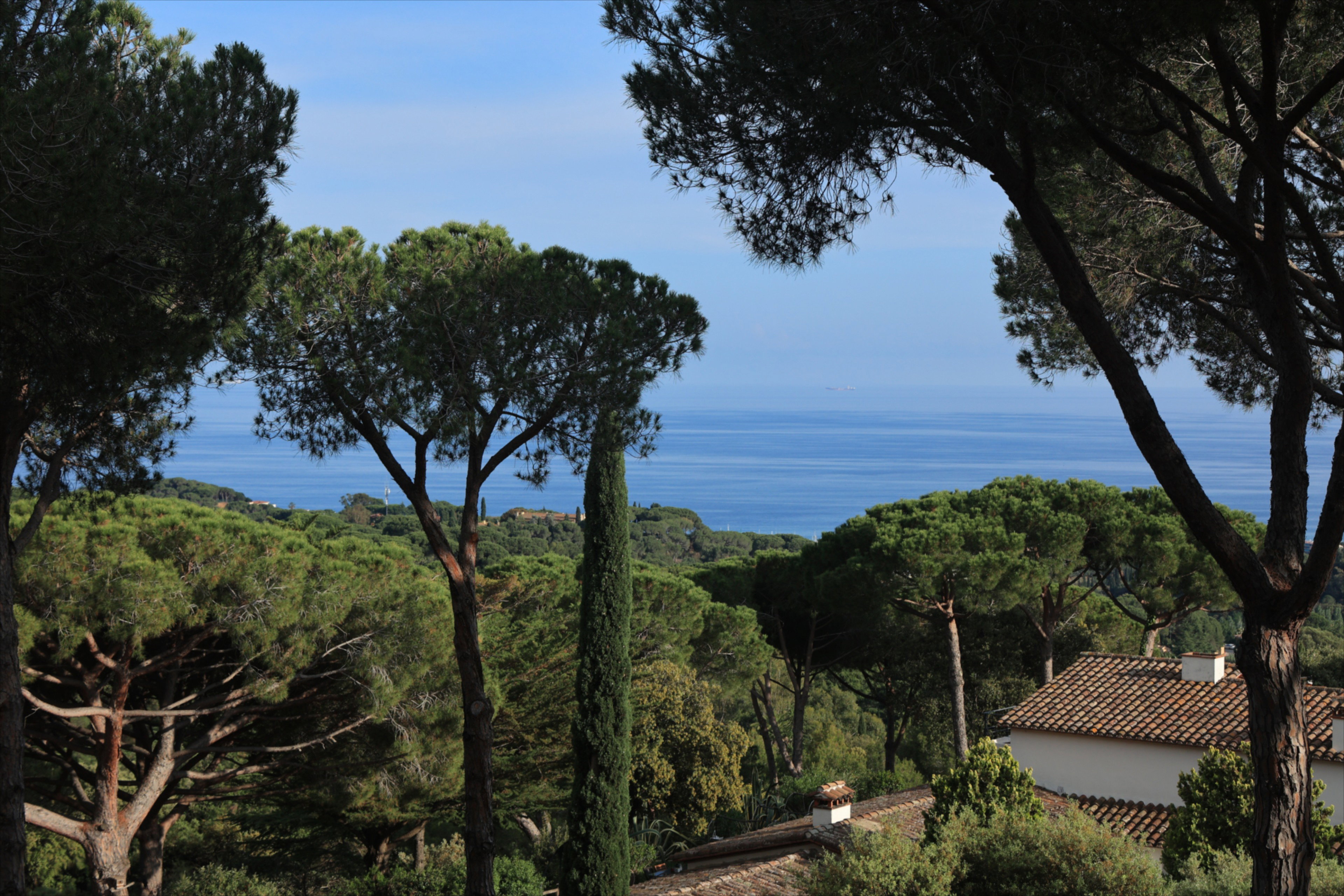 Nature house in sant Vicenç de Montalt