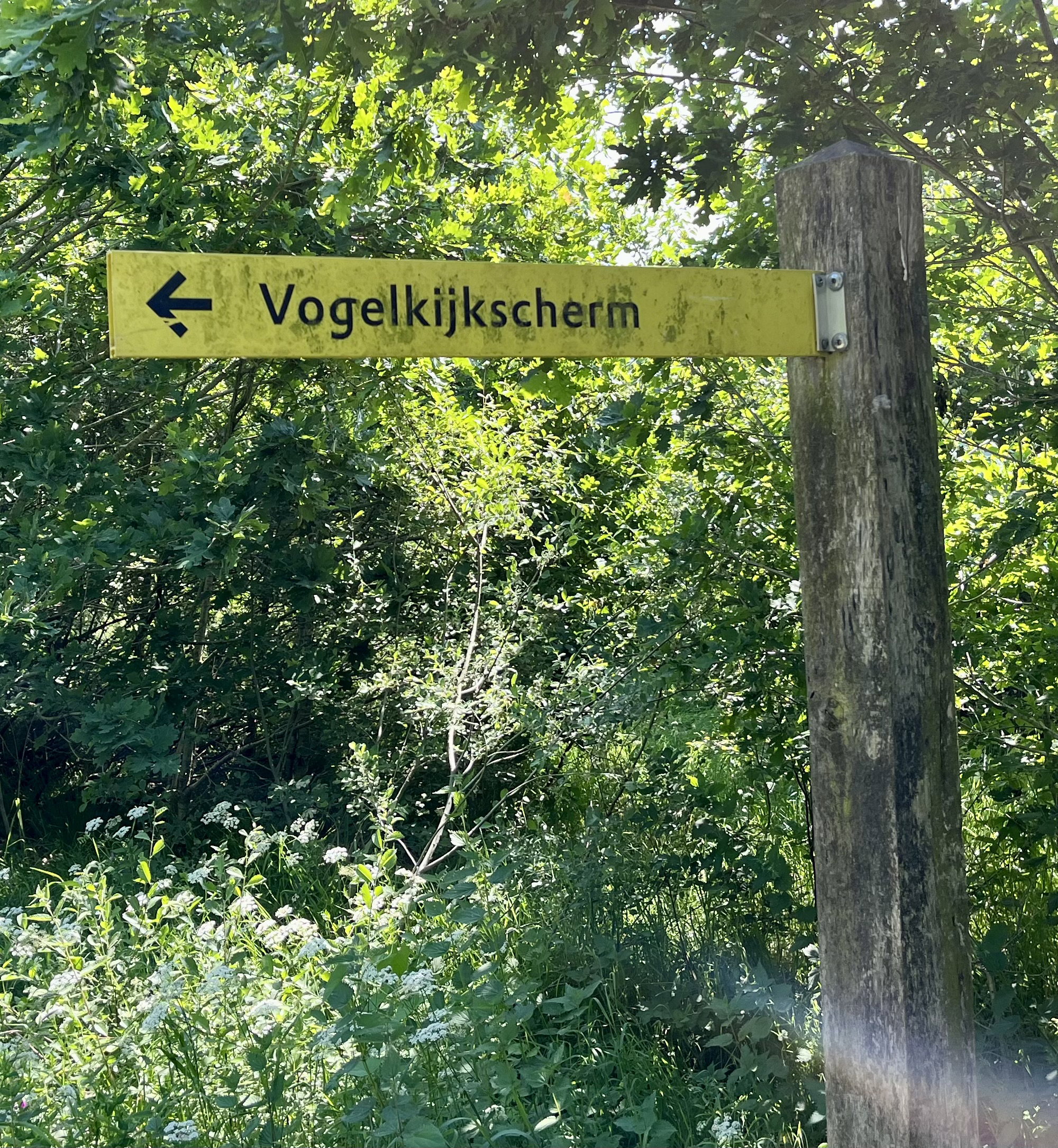 - image: 57