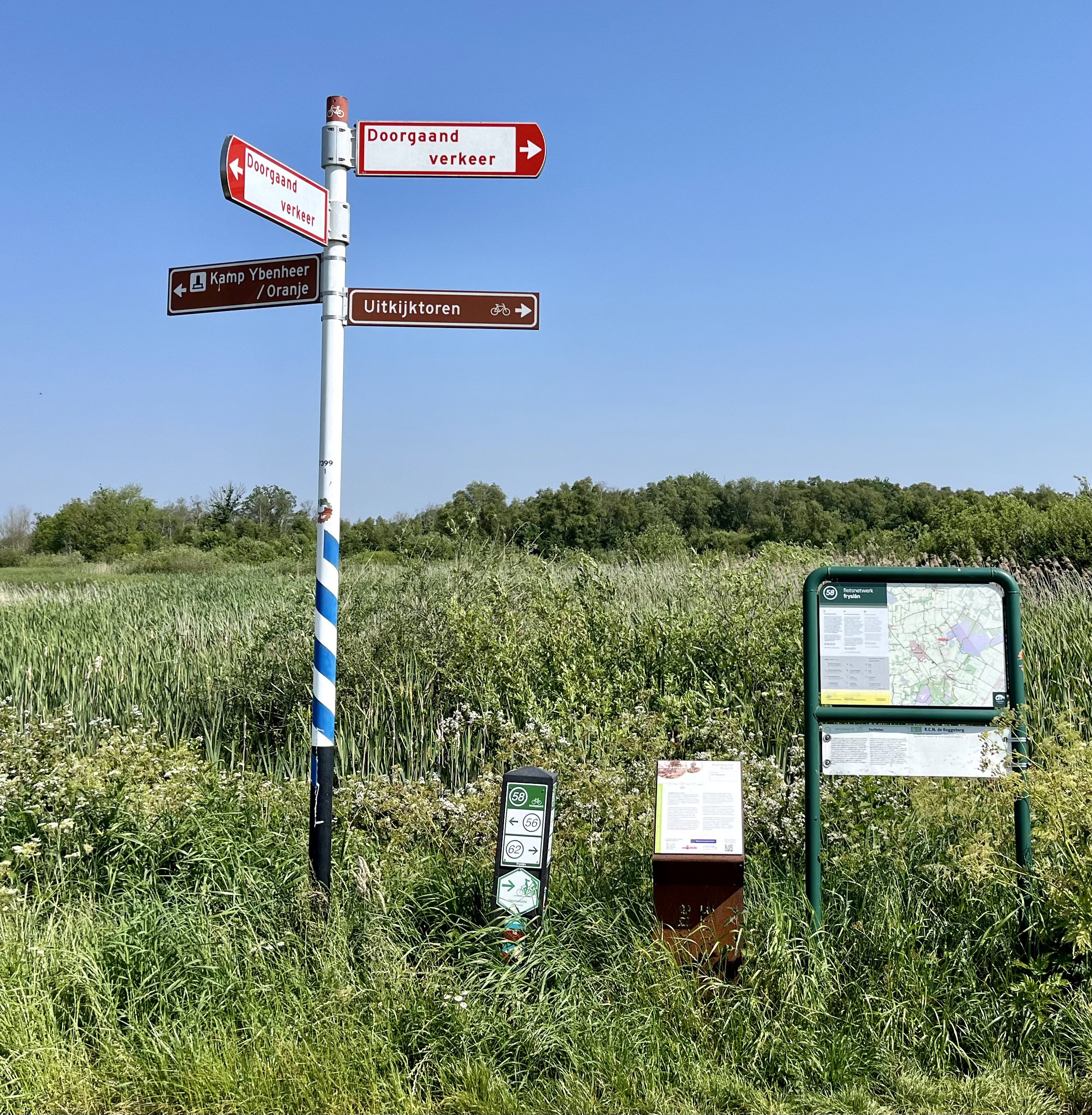 - image: 62