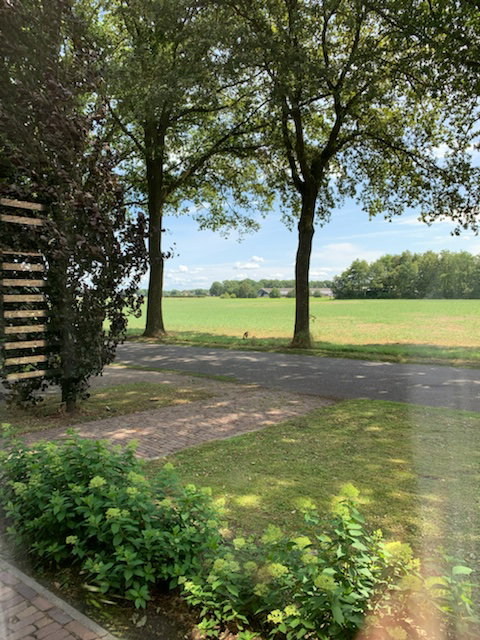 Natuurhuisje in Bergentheim