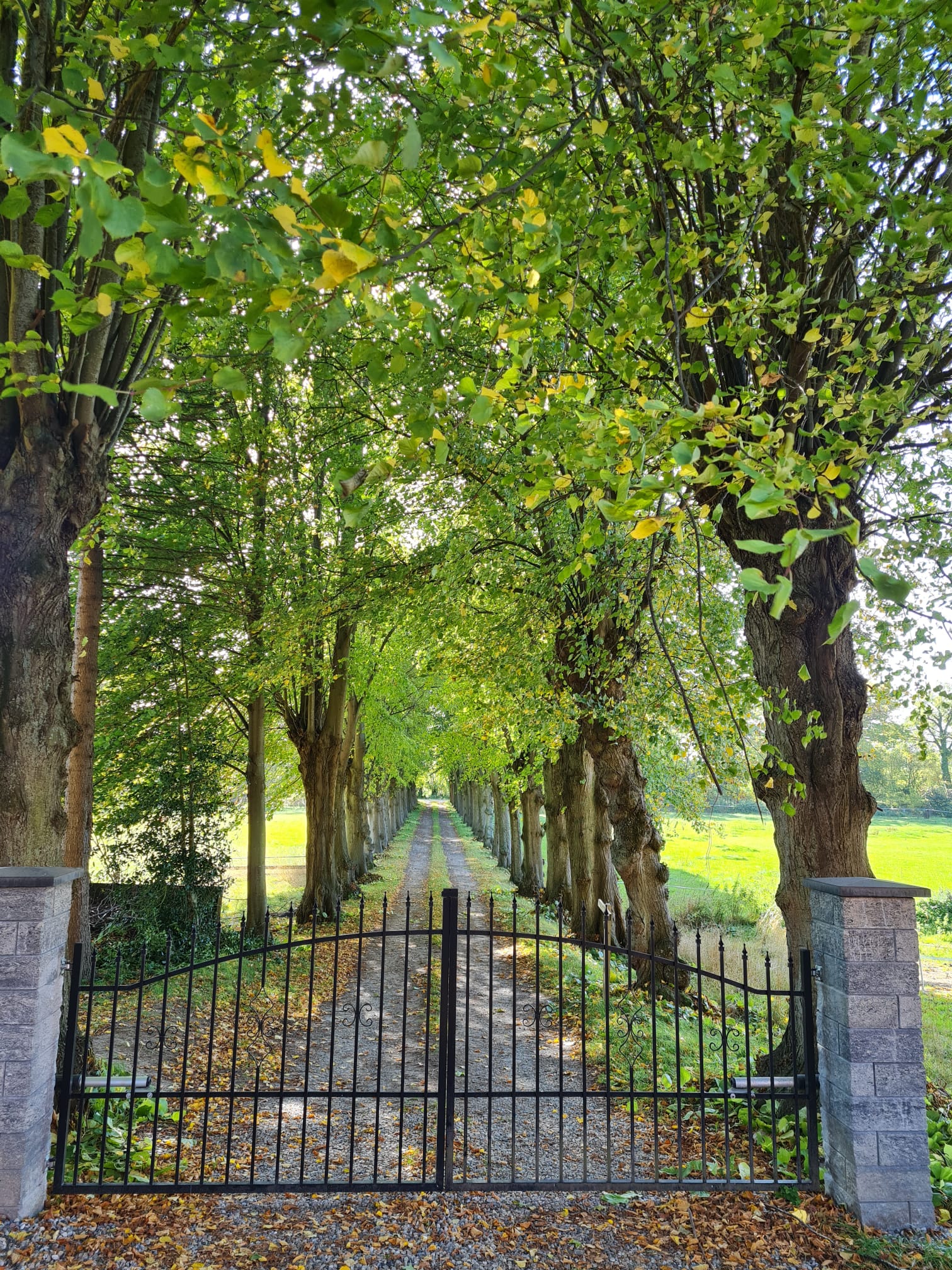 Natuurhuisje in Ahrensbök