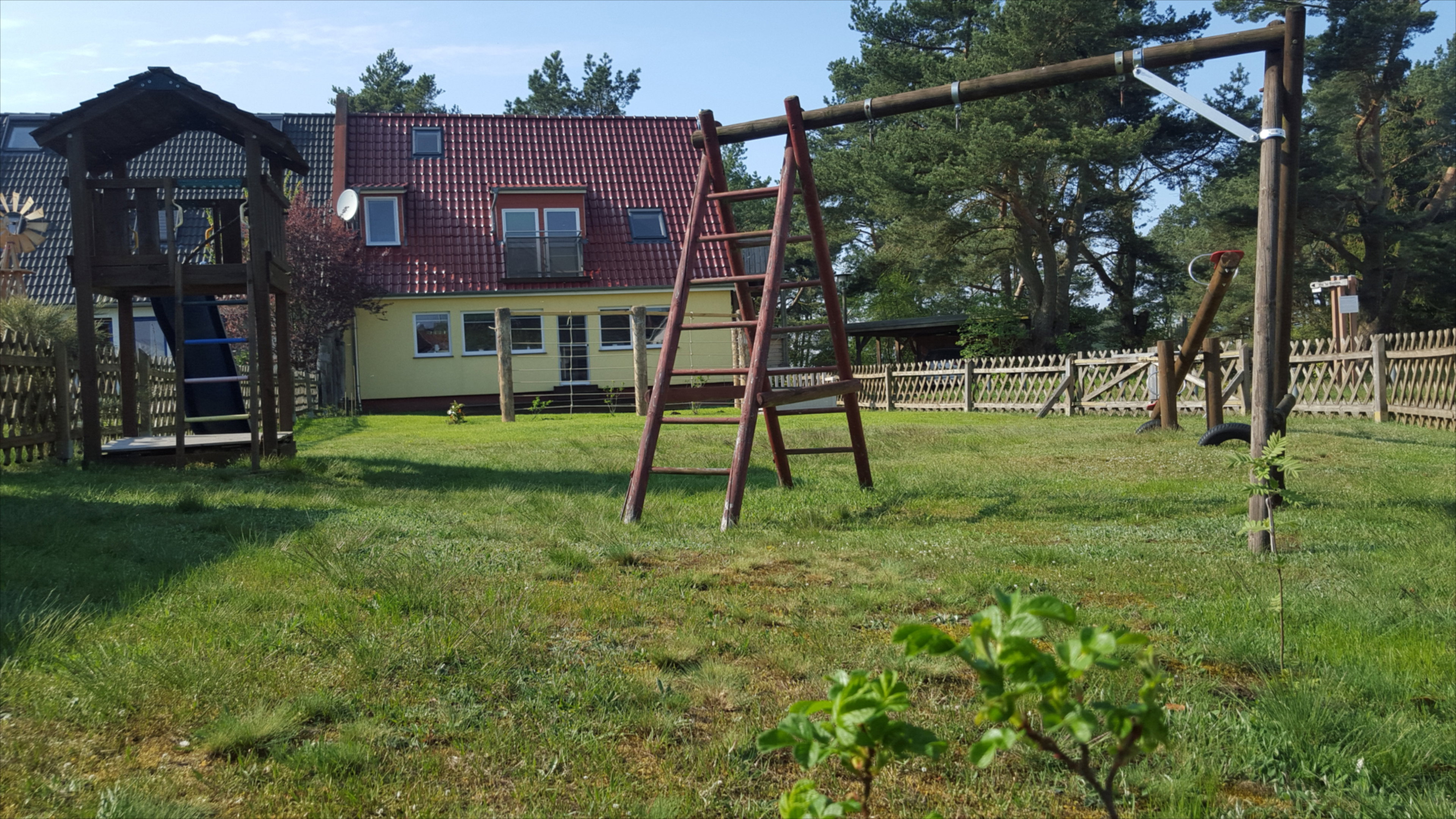 - image: 11