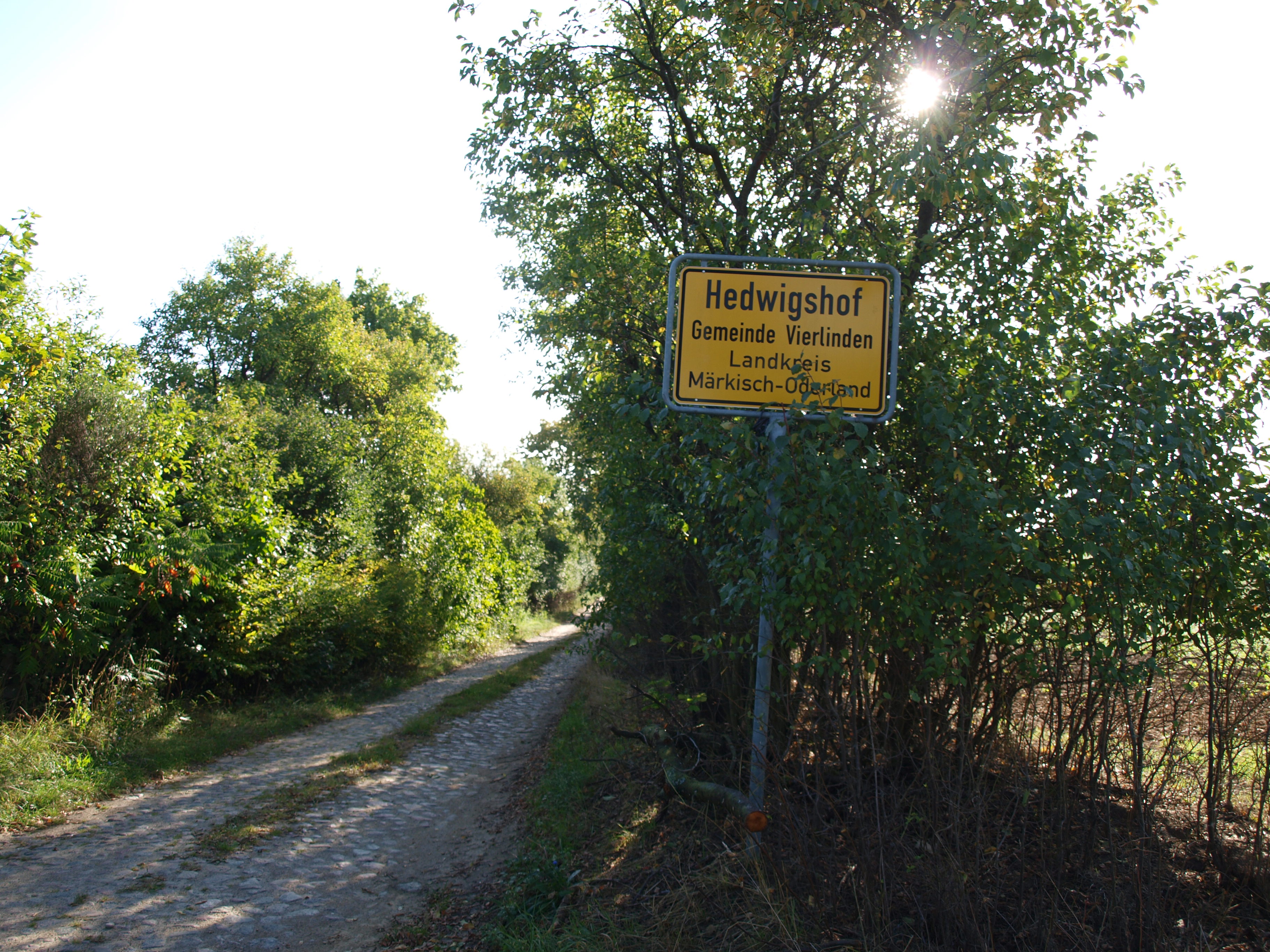 - image: 19