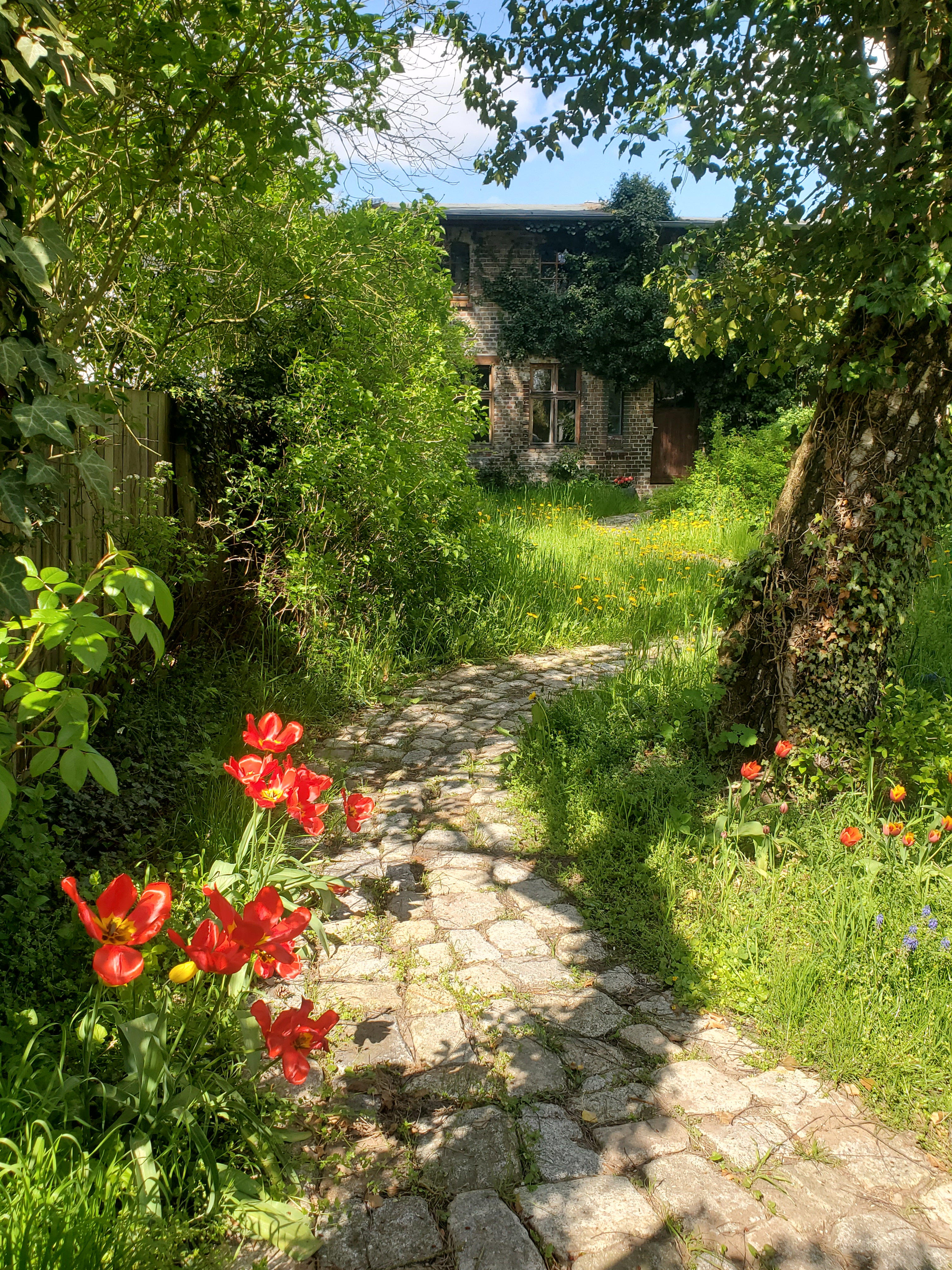 Maison nature à Seelow