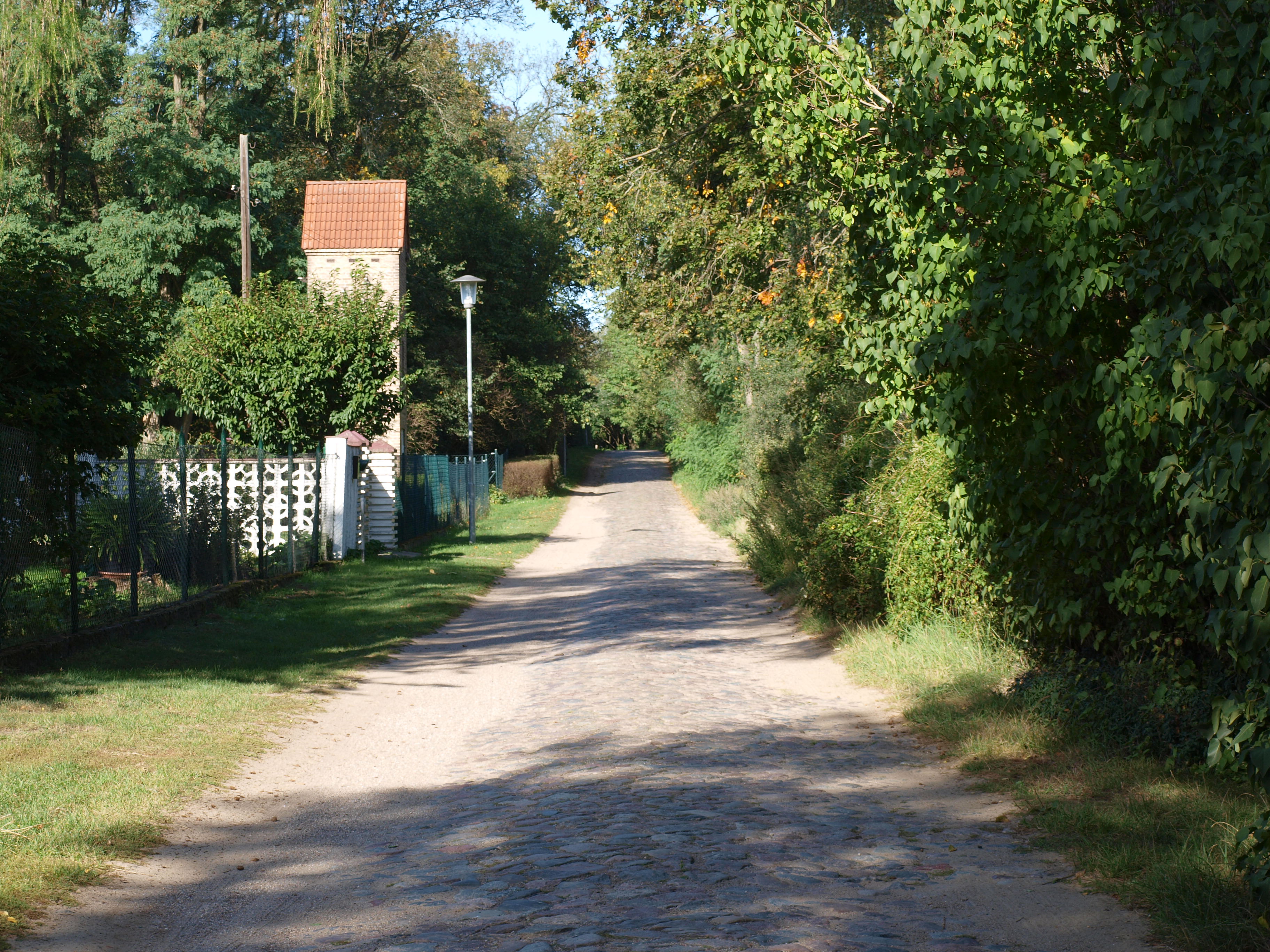 - image: 20