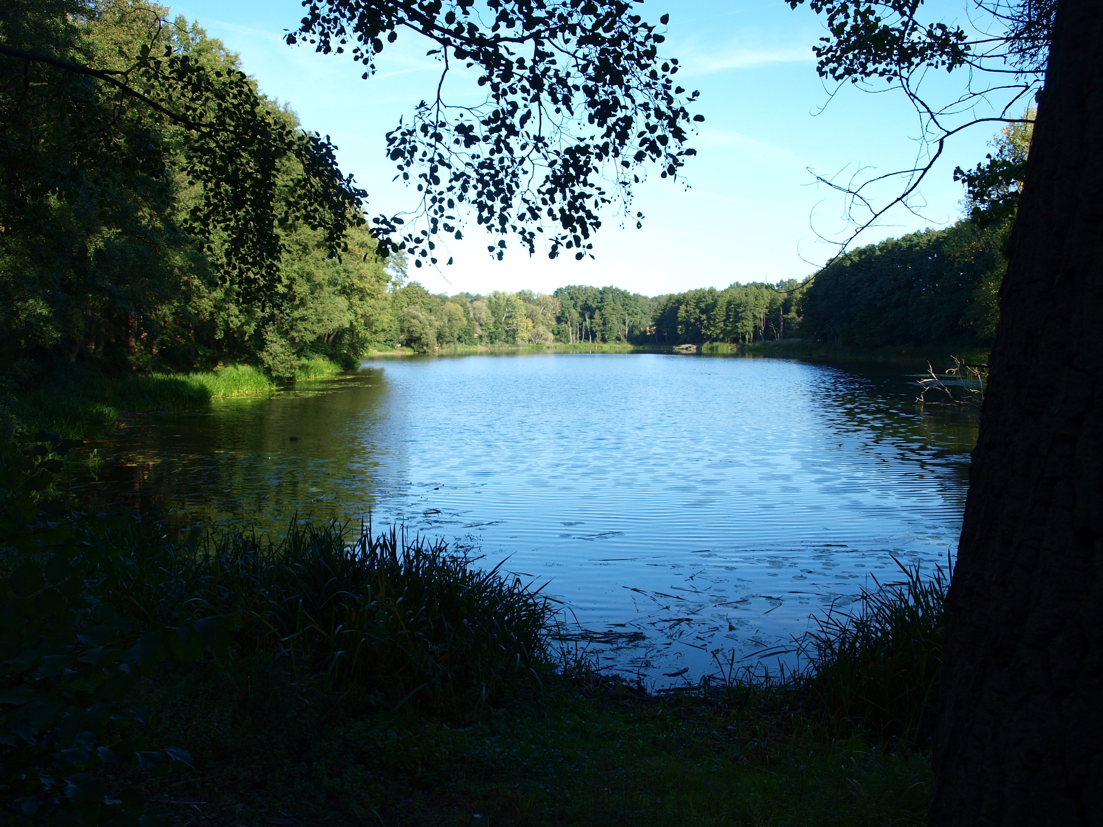 - image: 21