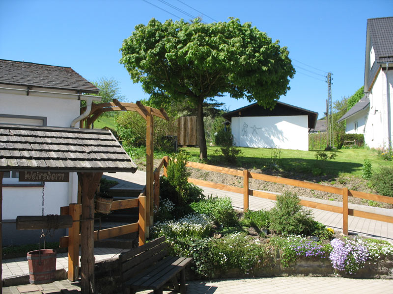 - image: 12
