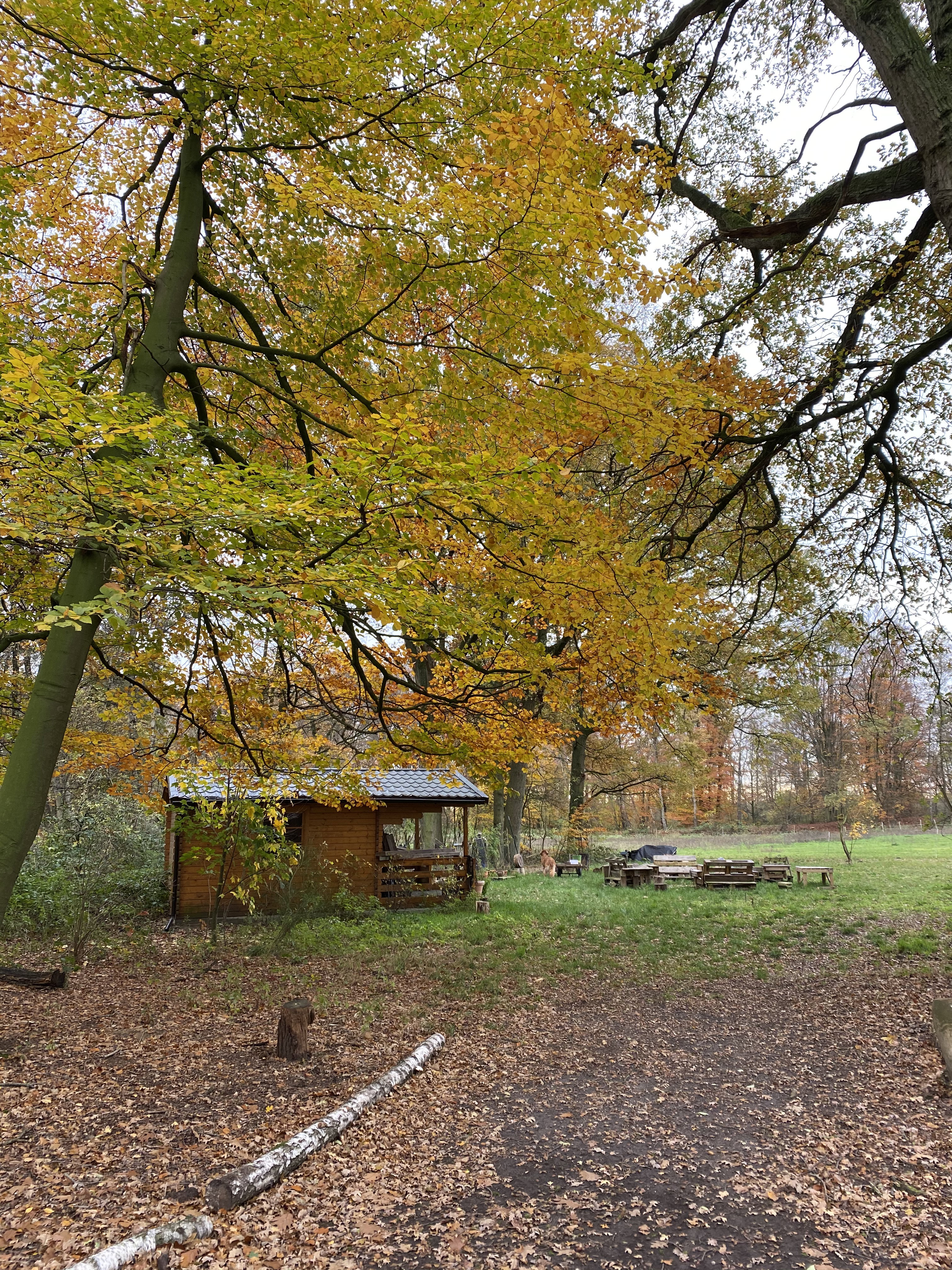Naturhäuschen in Saerbeck