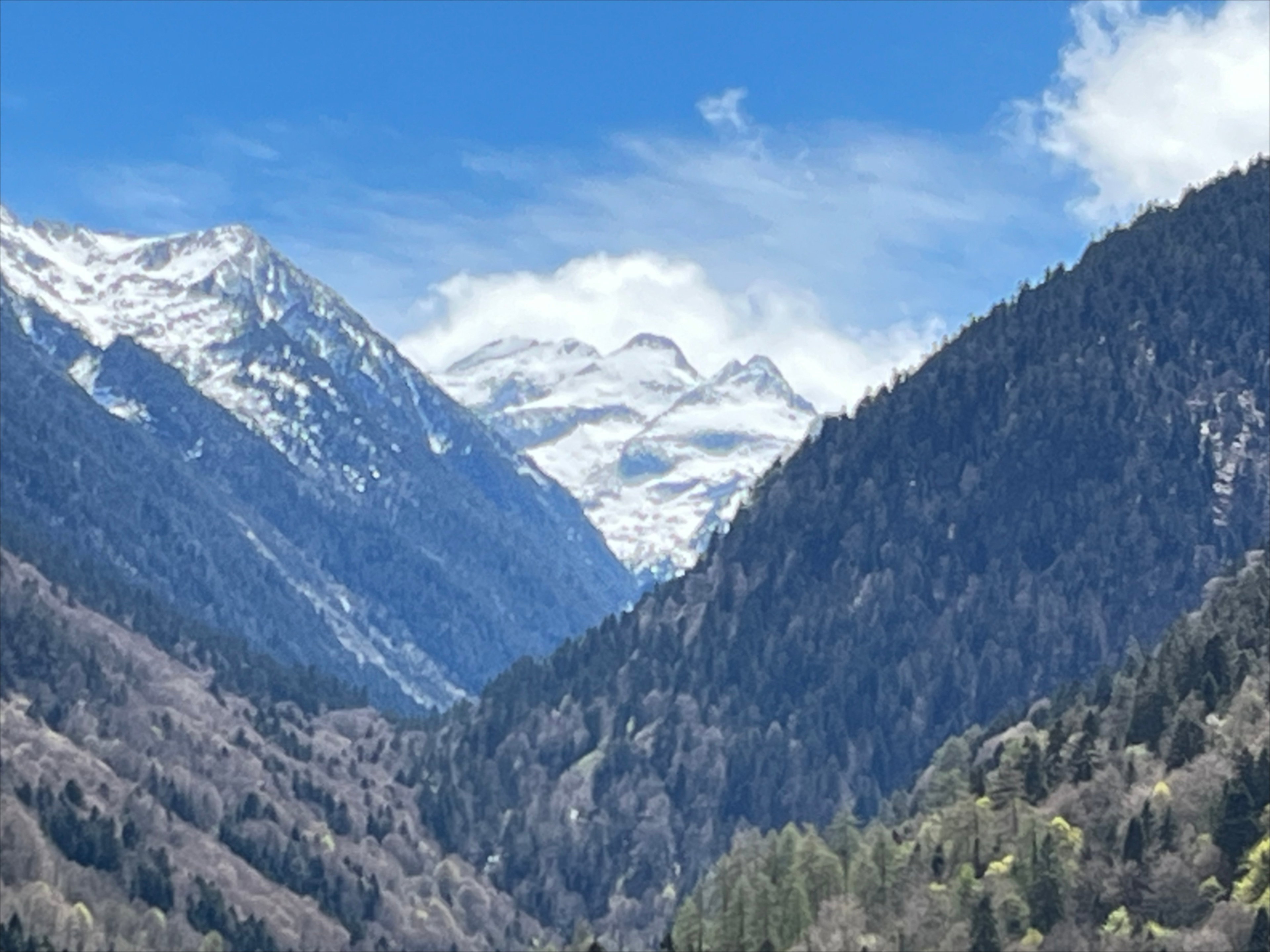 - image: 28