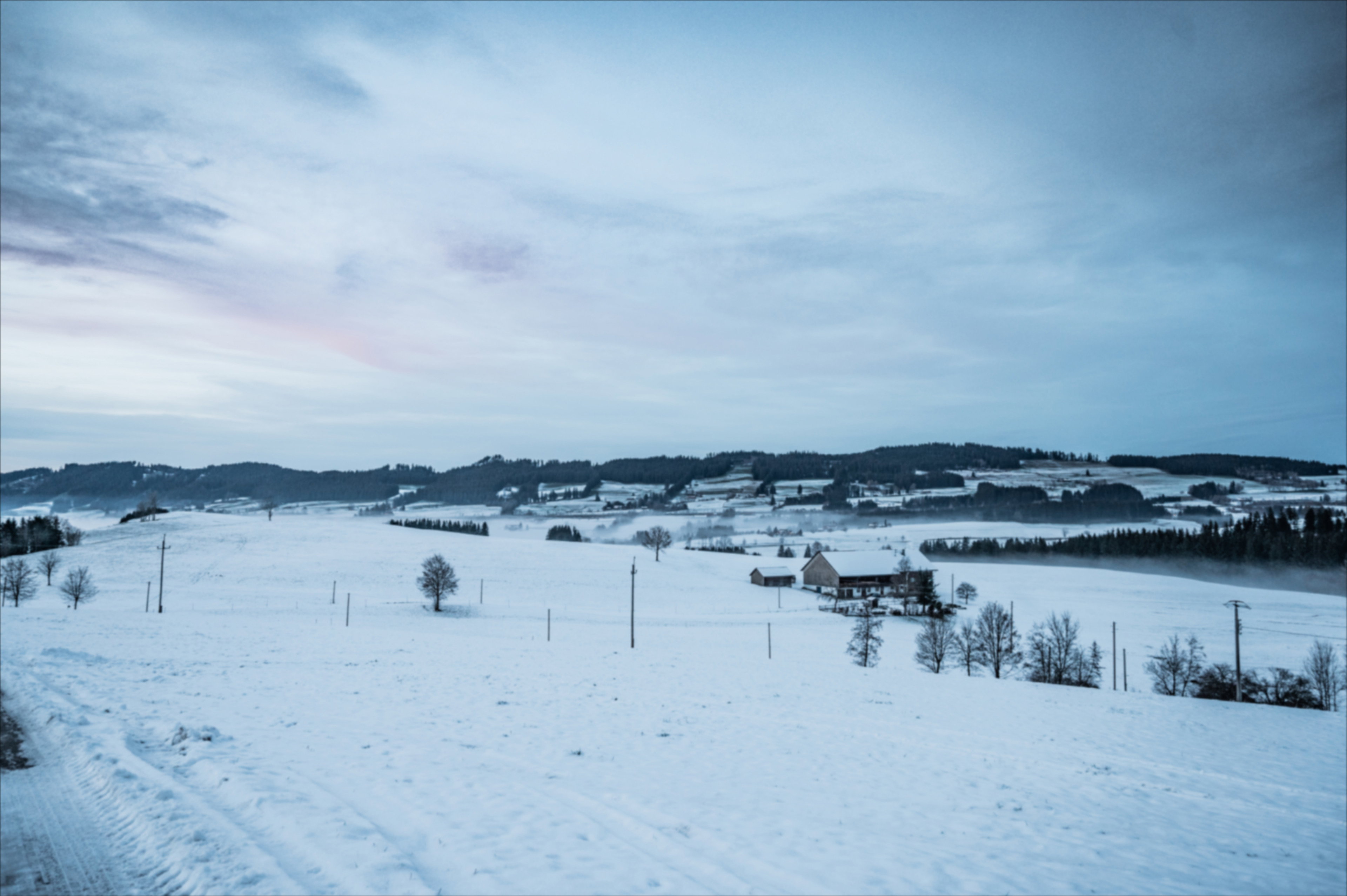 - image: 23