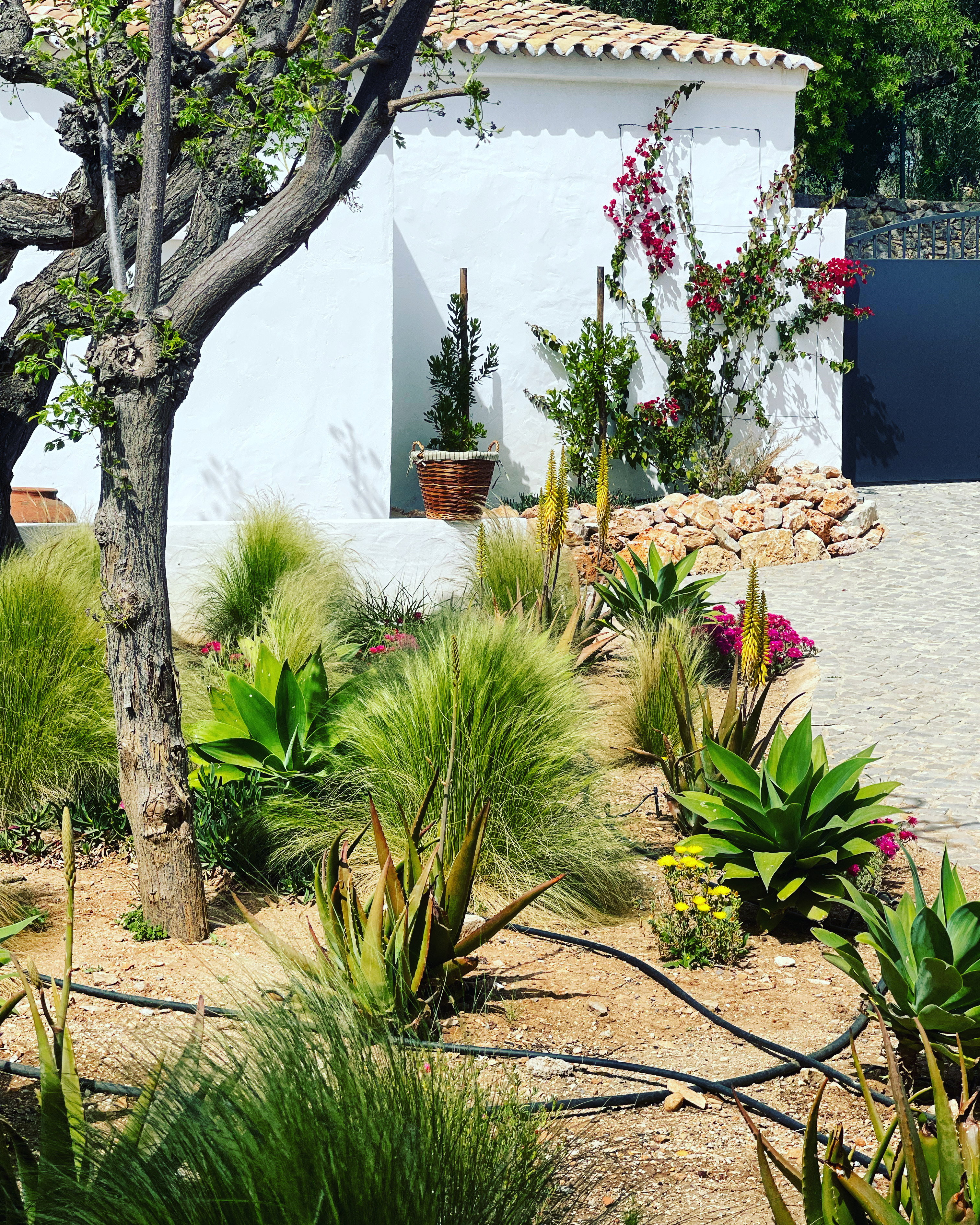 Casa nella natura a São Brás de Alportel