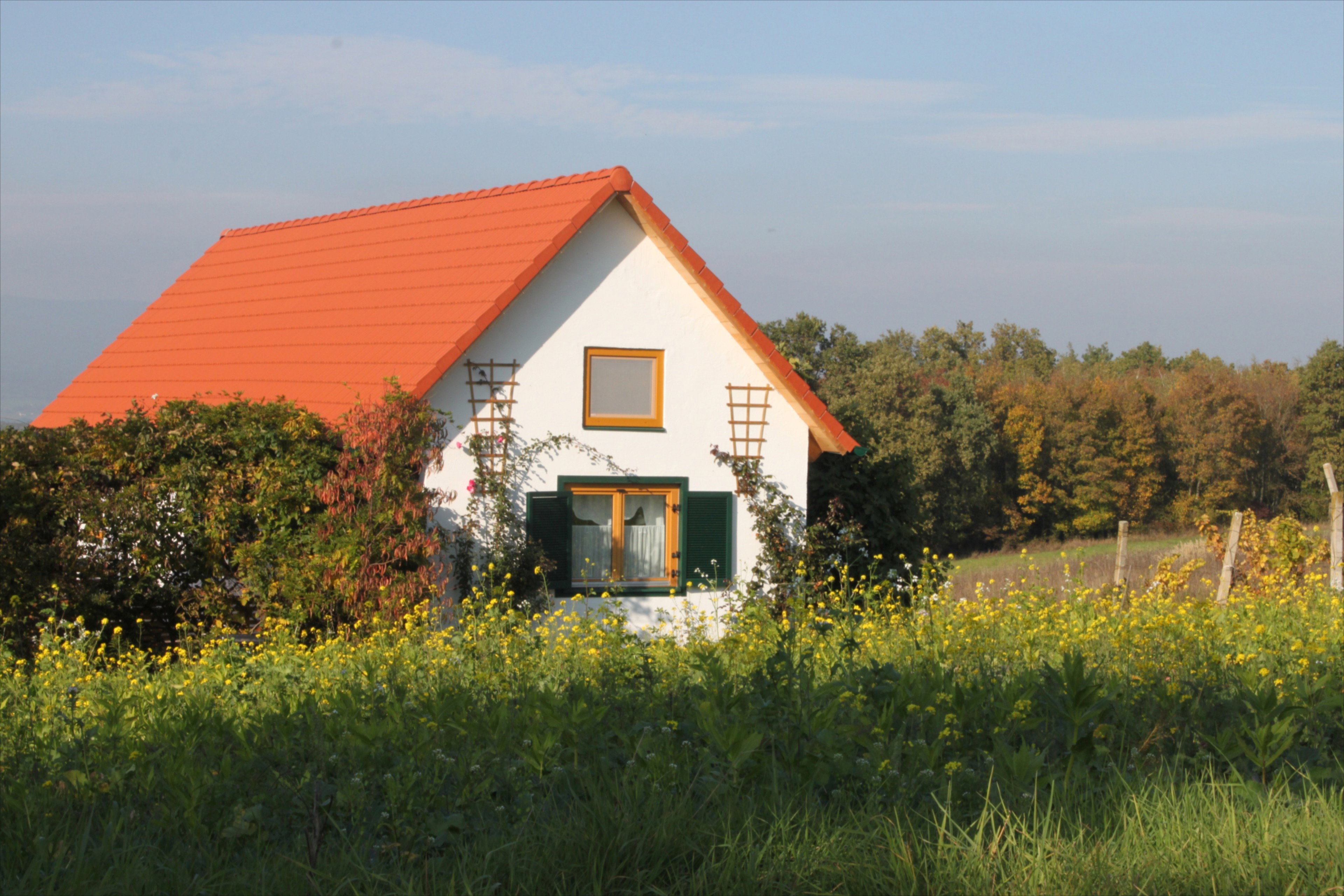 Nature house in Hannersdorf