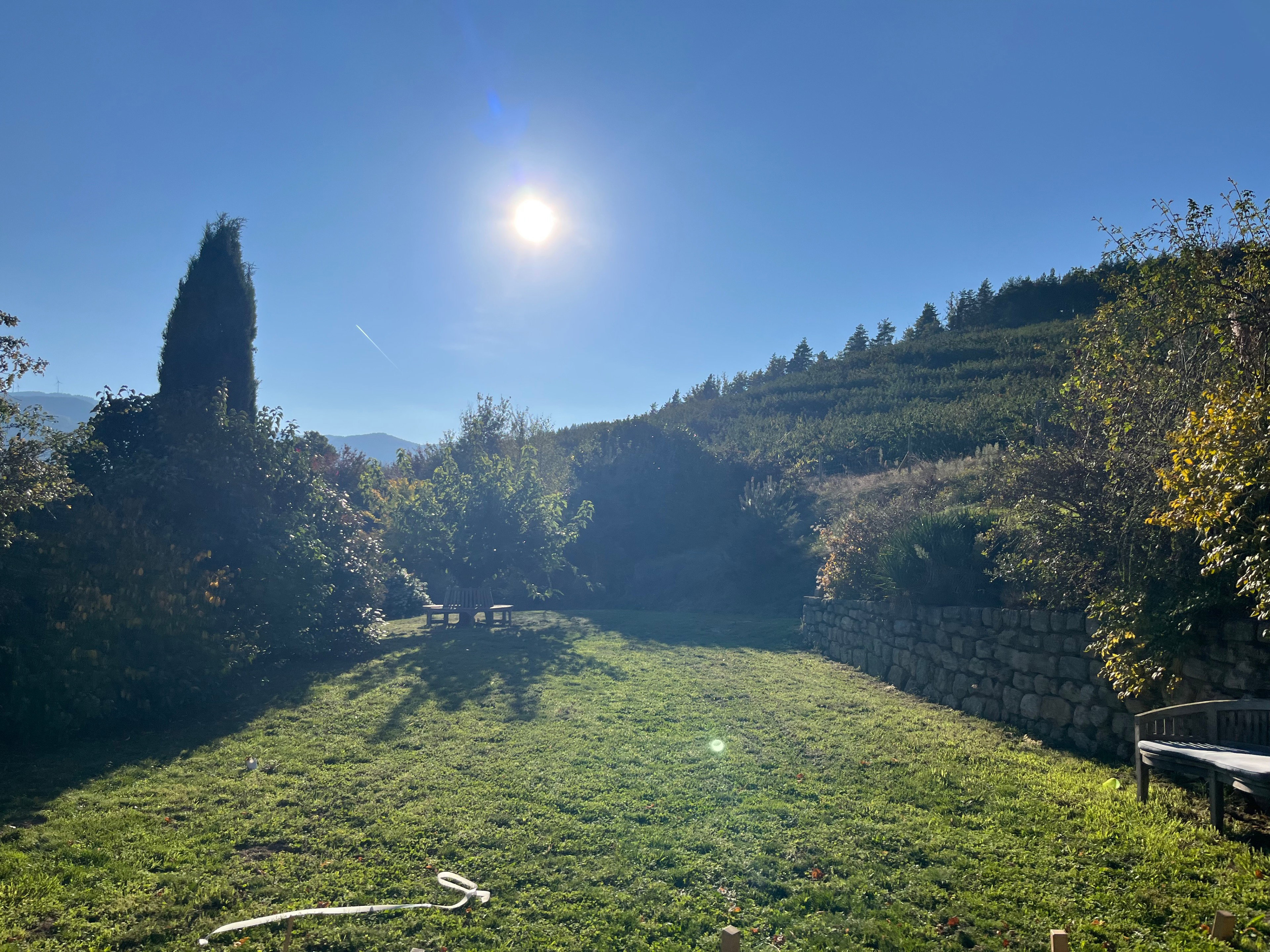 - image: 25