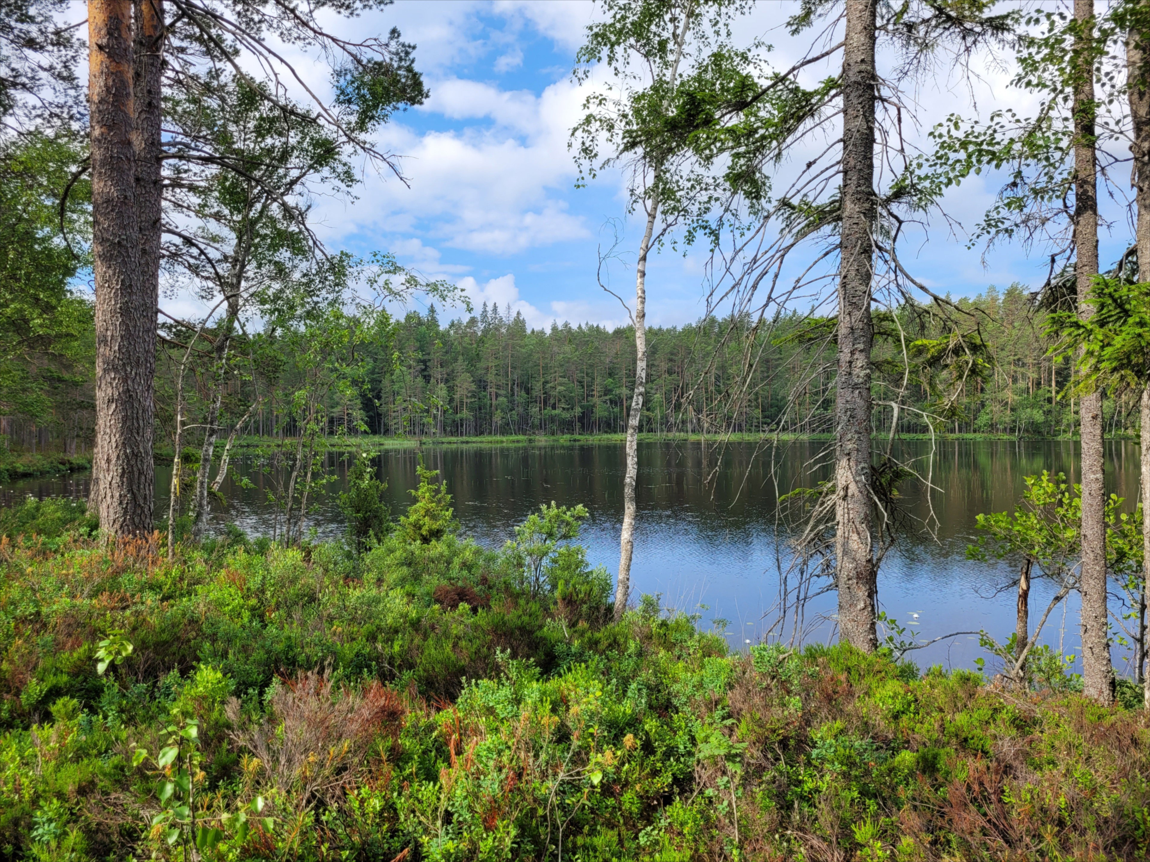 Natuurhuisje in Nora
