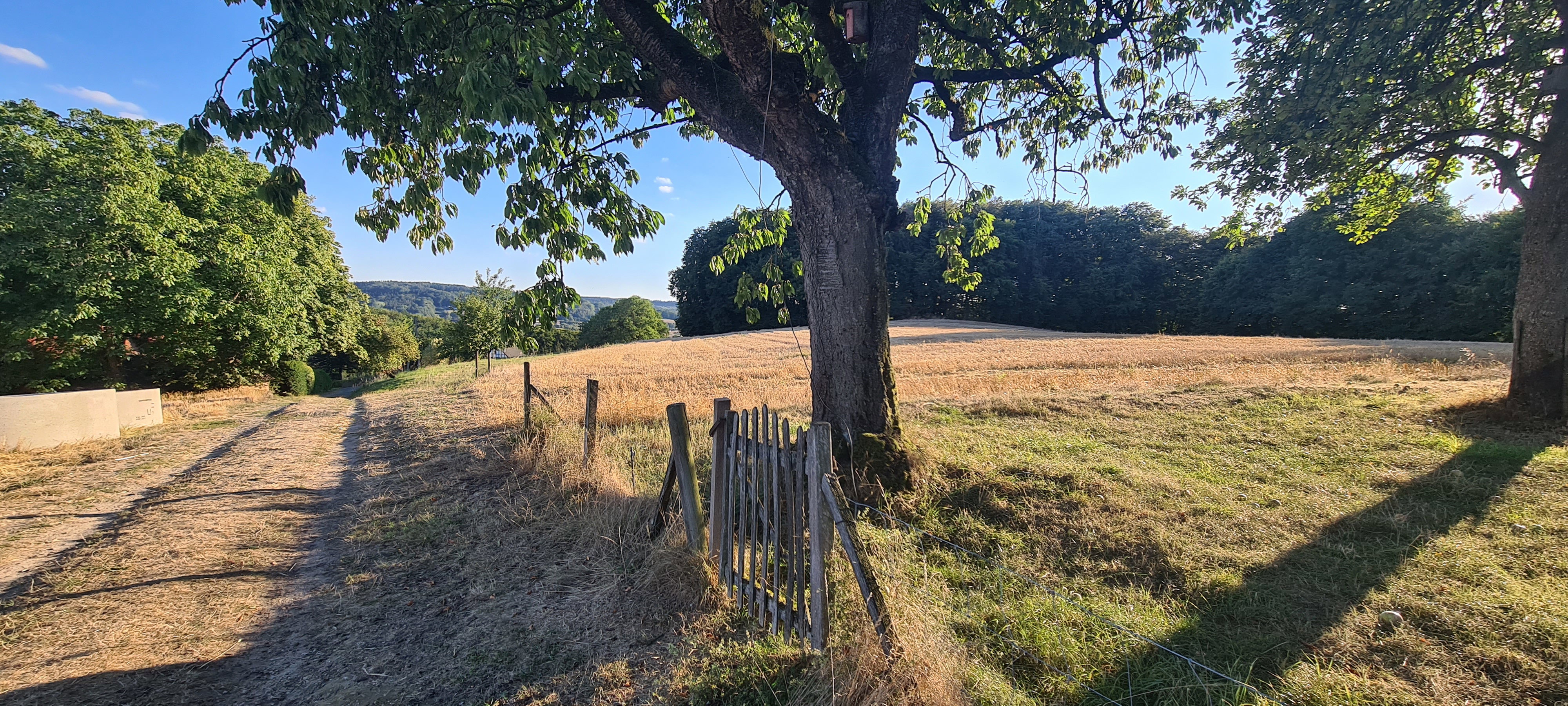 Casa nella natura a Tecklenburg