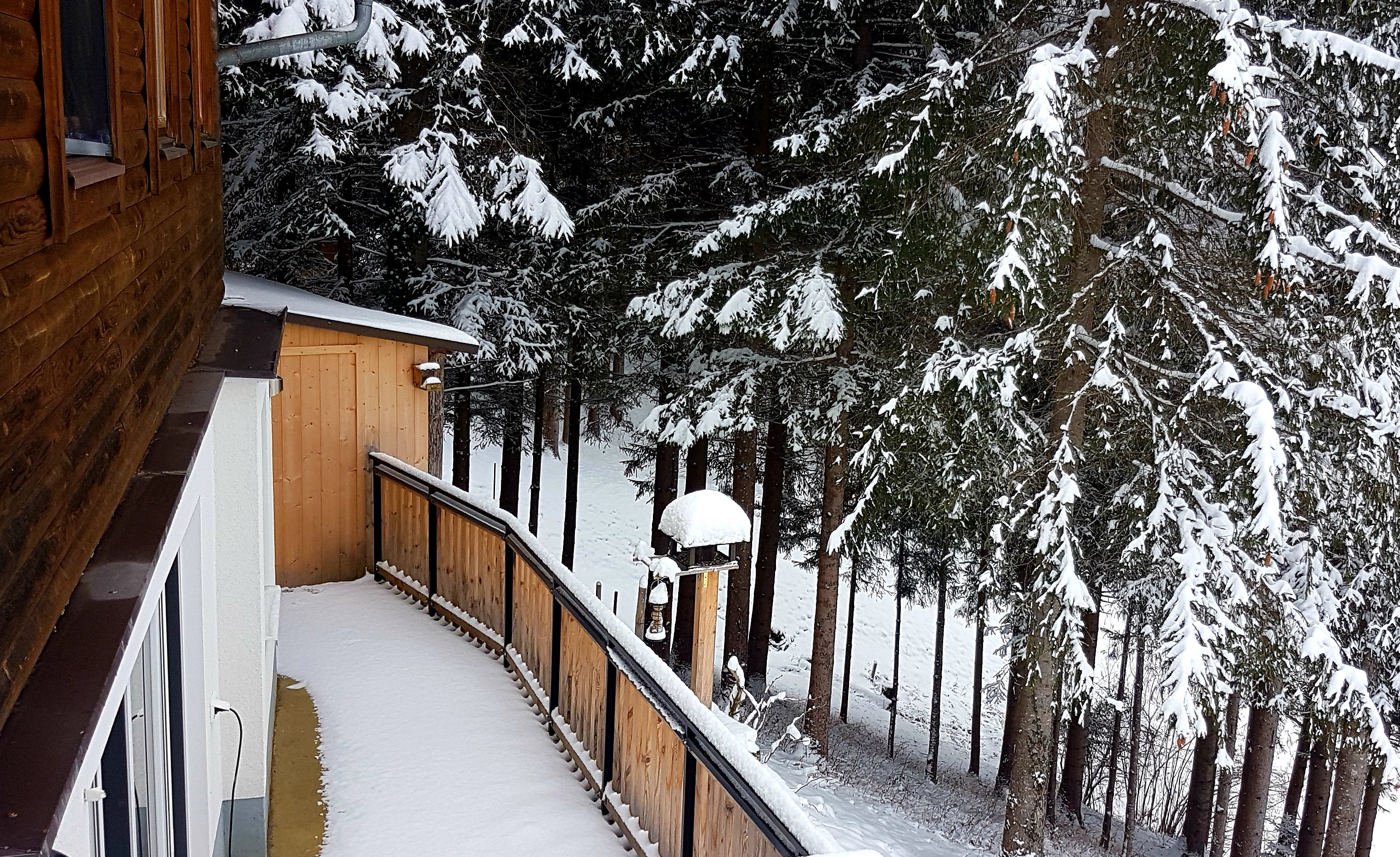 Casa nella natura a Spital am Pyhrn
