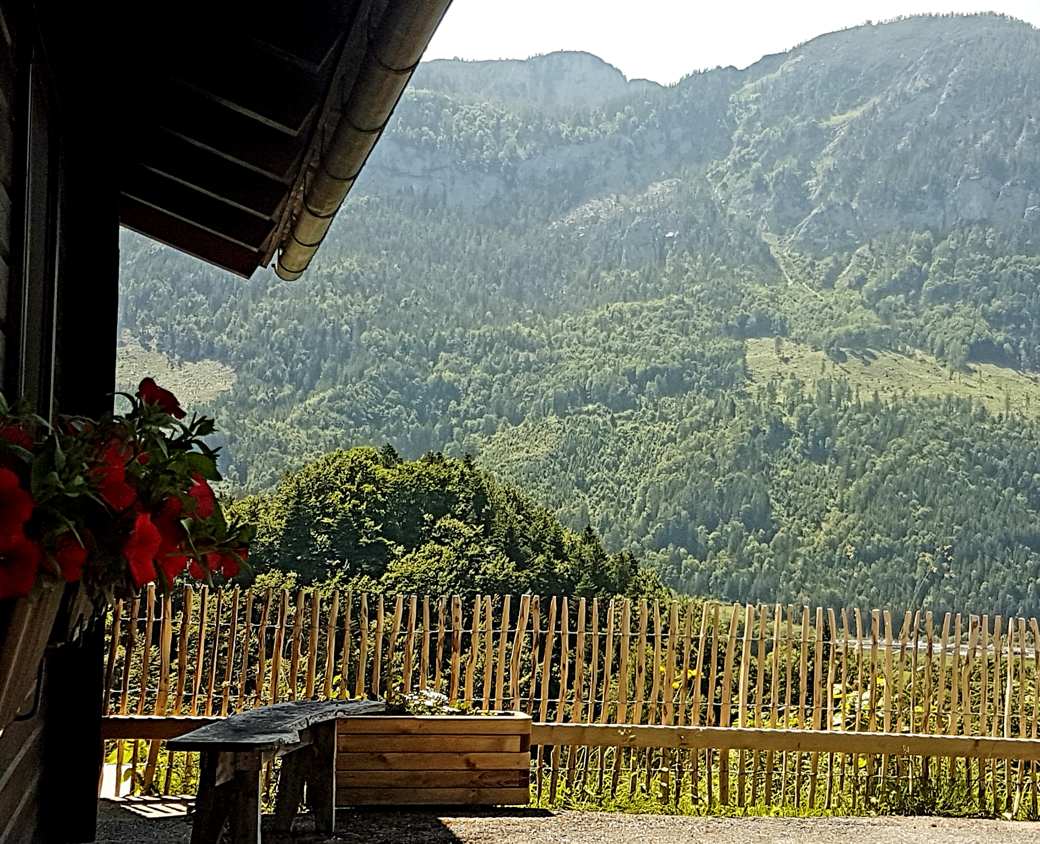 Casa nella natura a Spital am Pyhrn