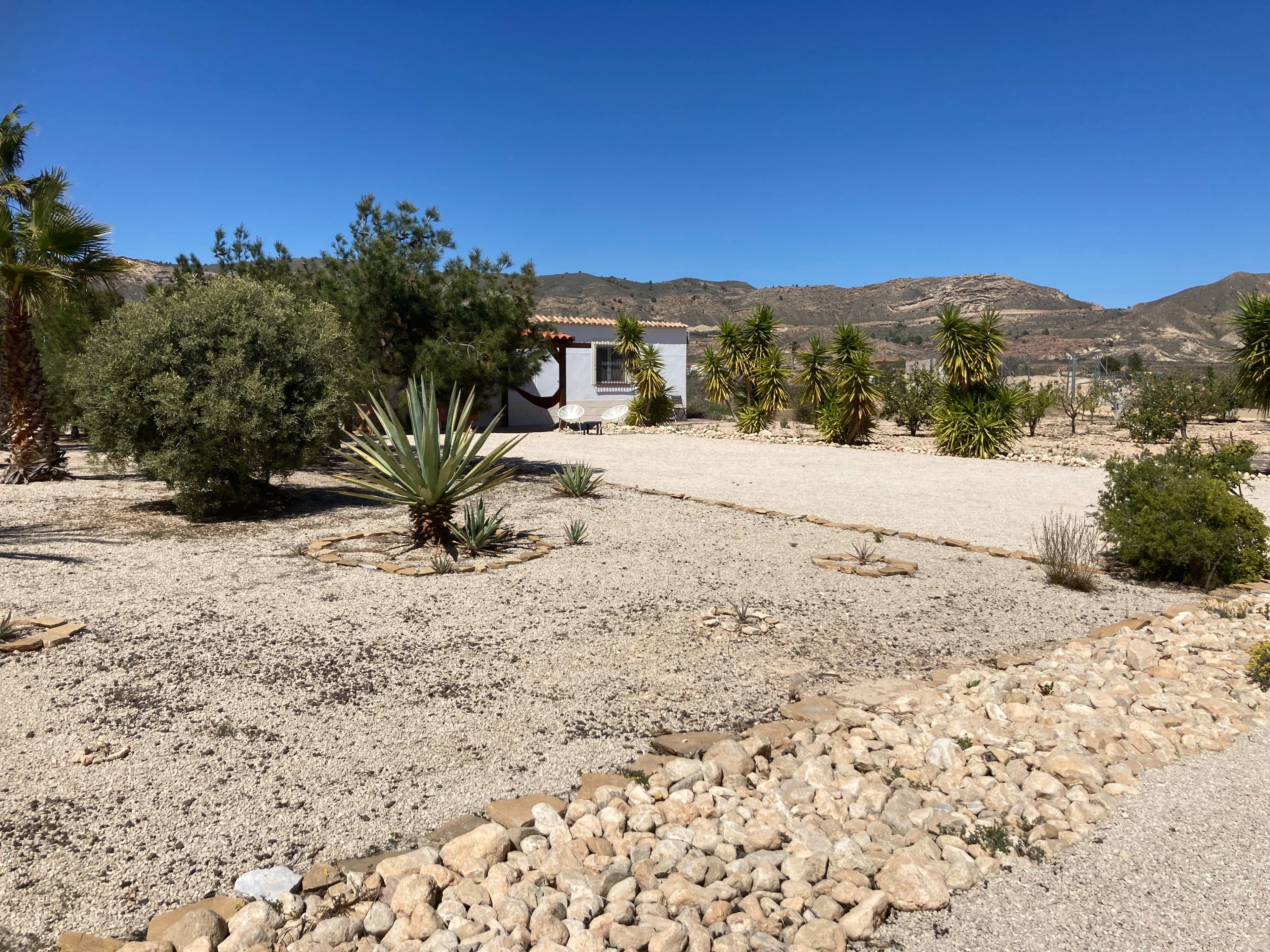 Nature house in Abanilla
