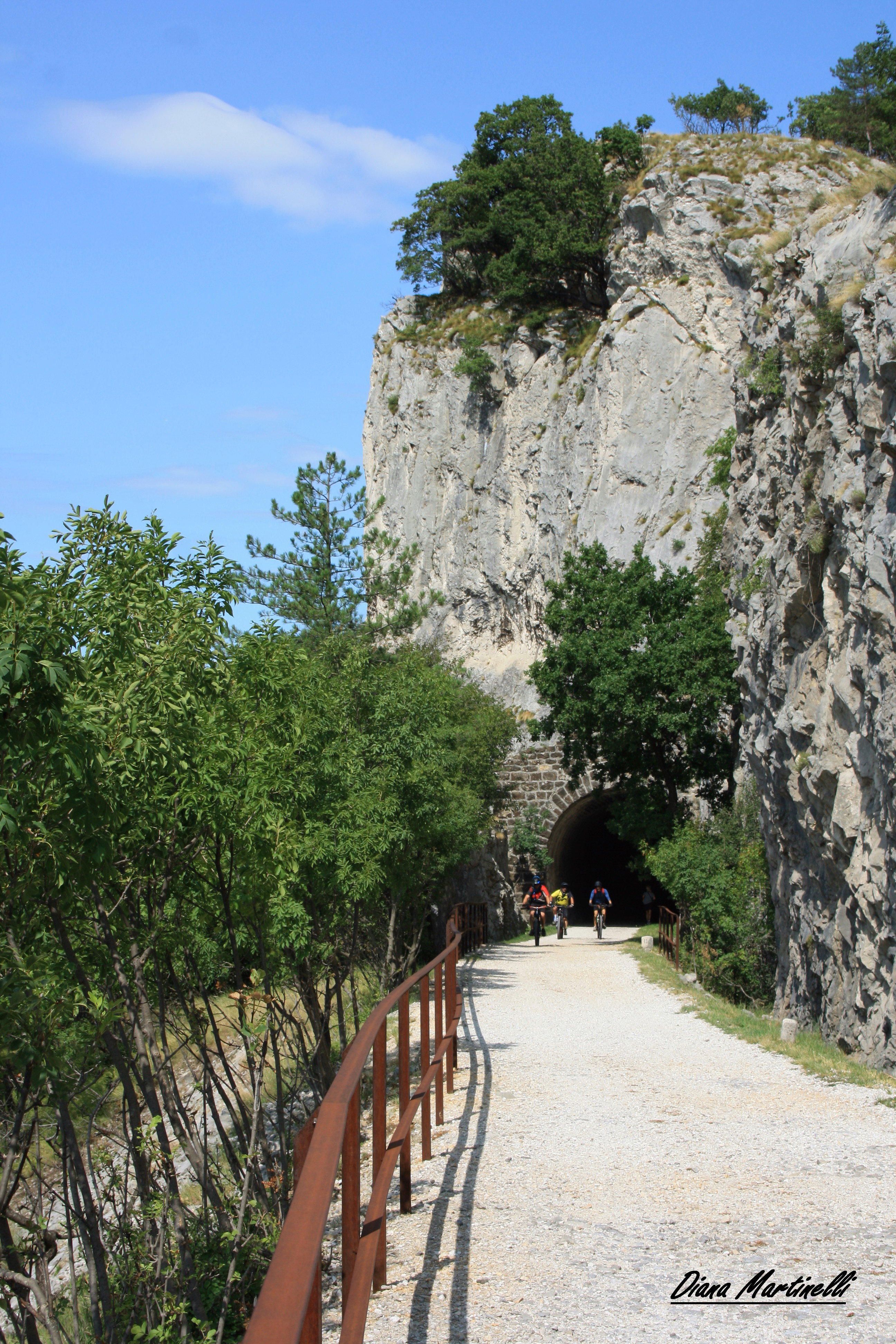 - image: 12