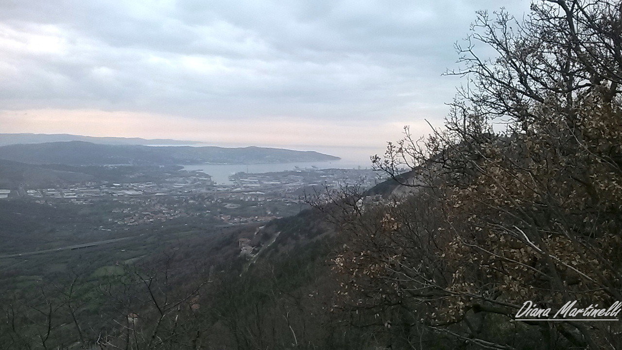 - image: 13