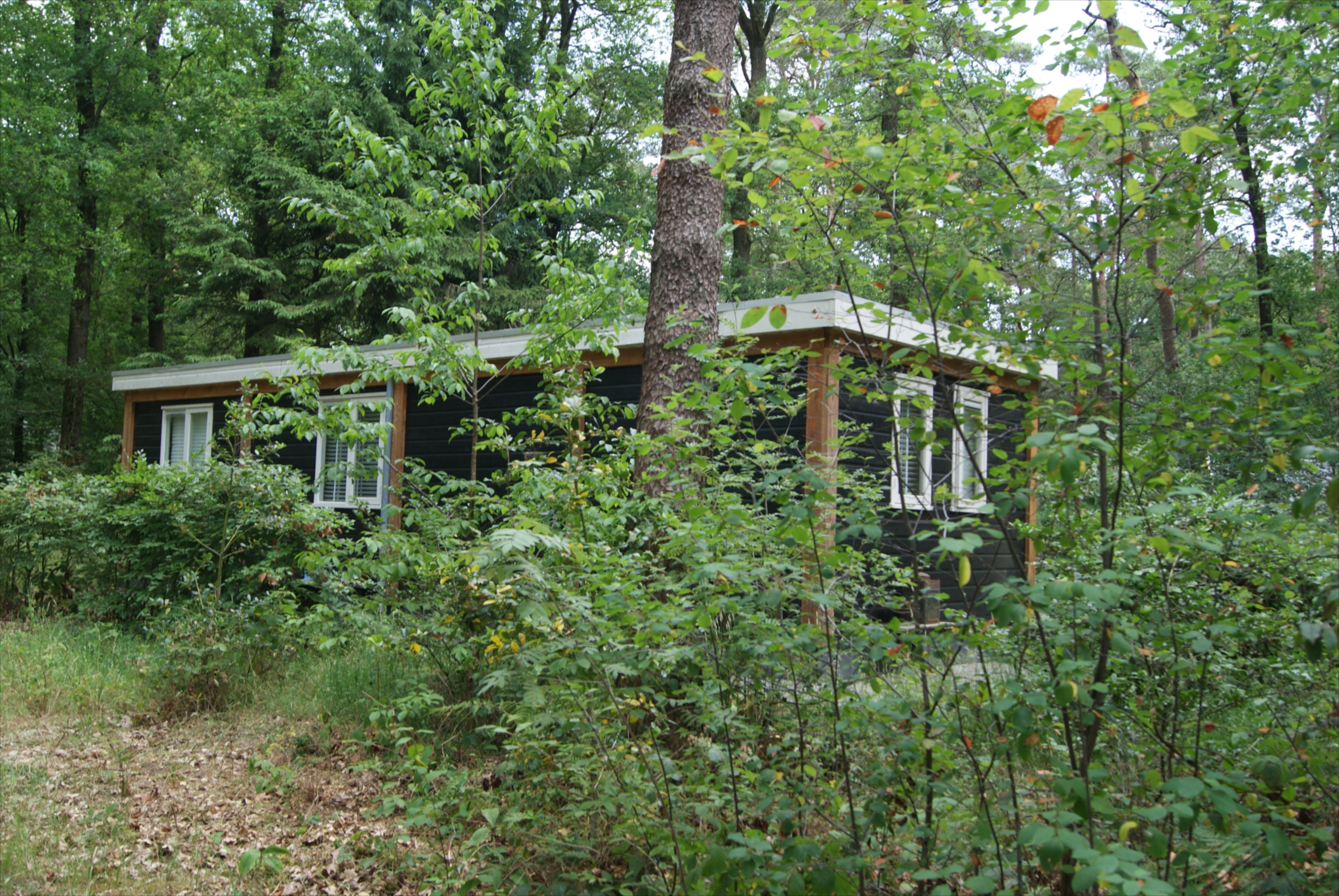Maison nature à Norg