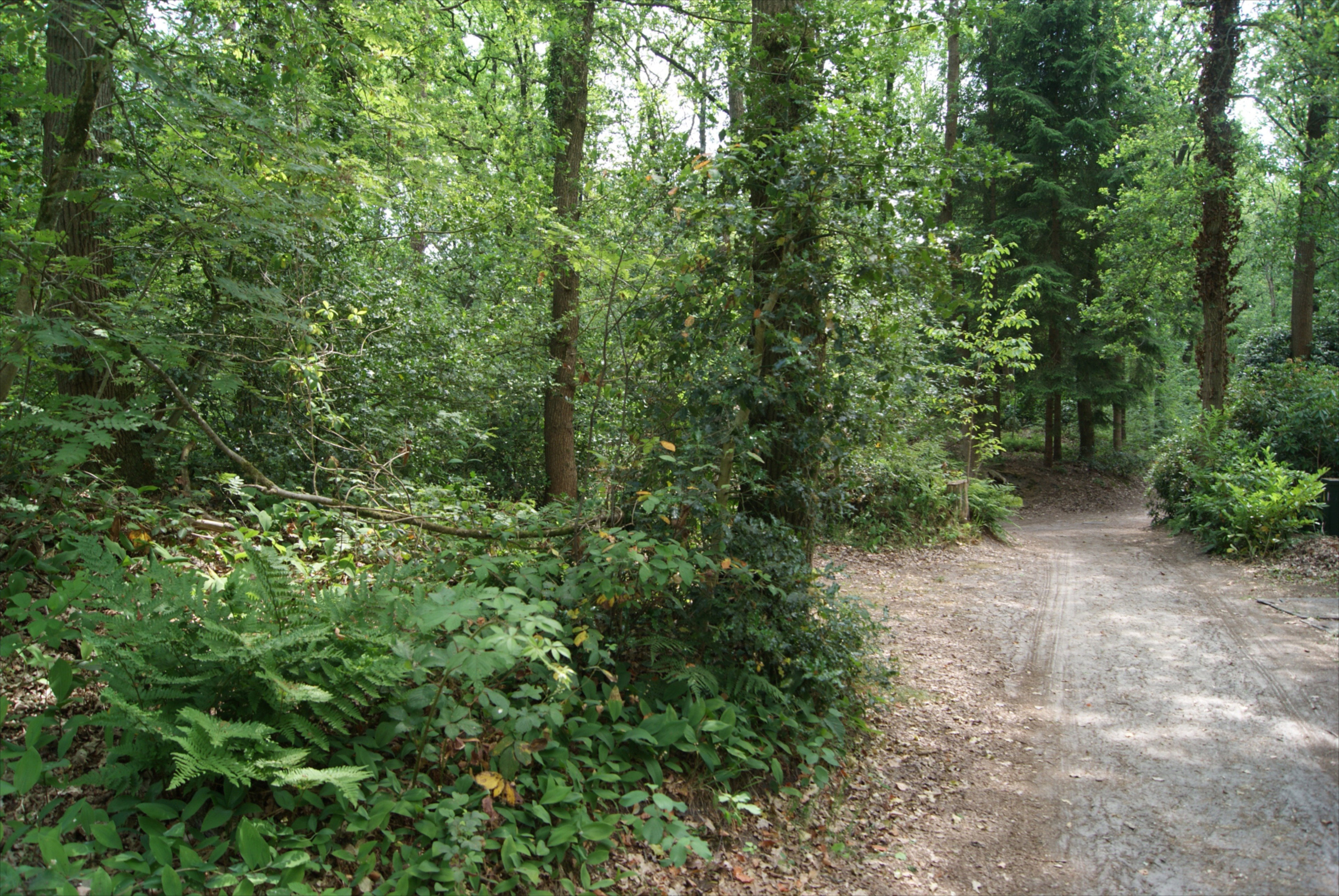 Maison nature à Norg