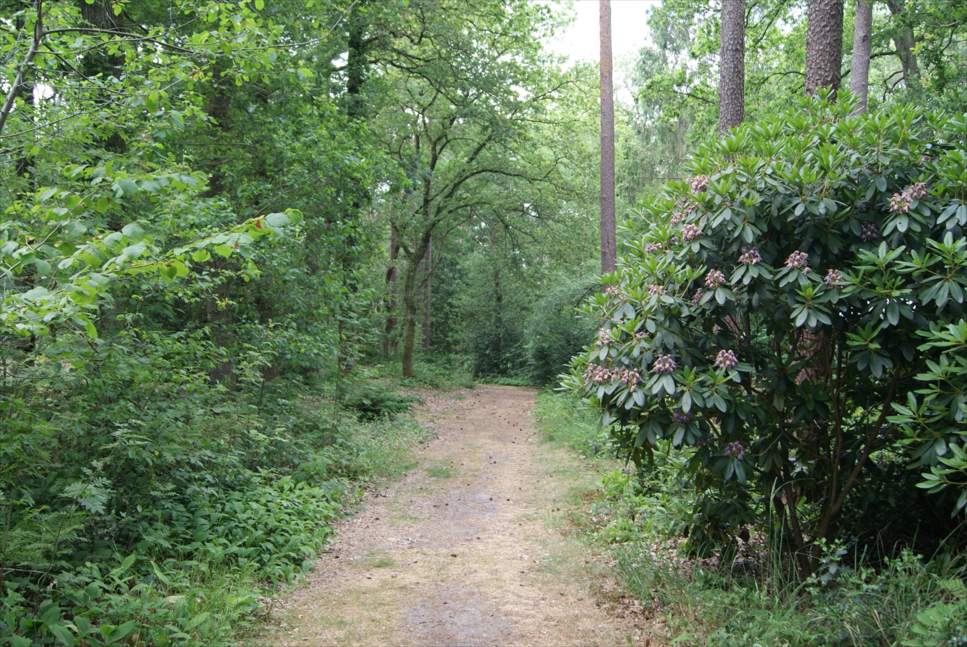 Maison nature à Norg