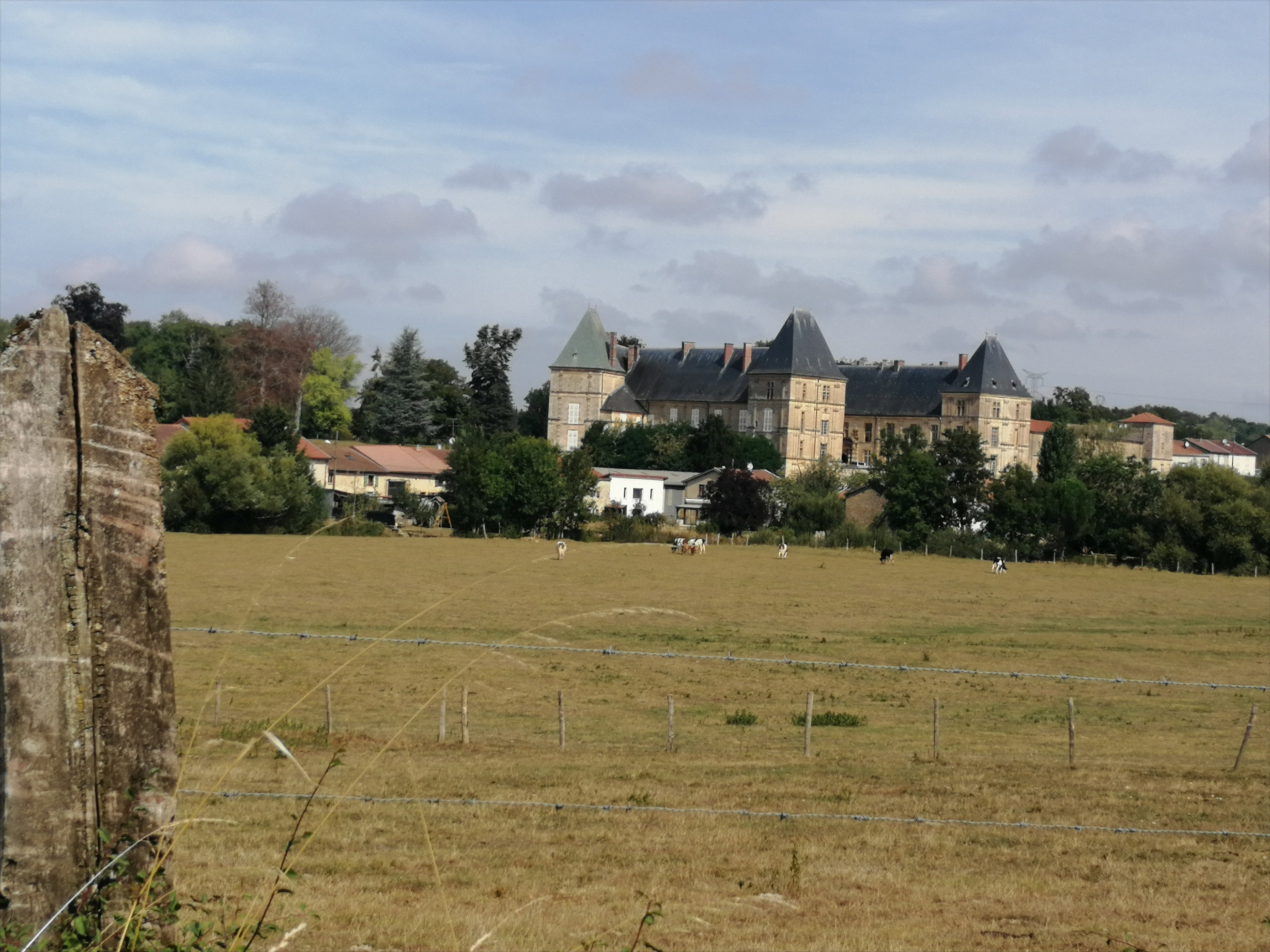 - image: 11