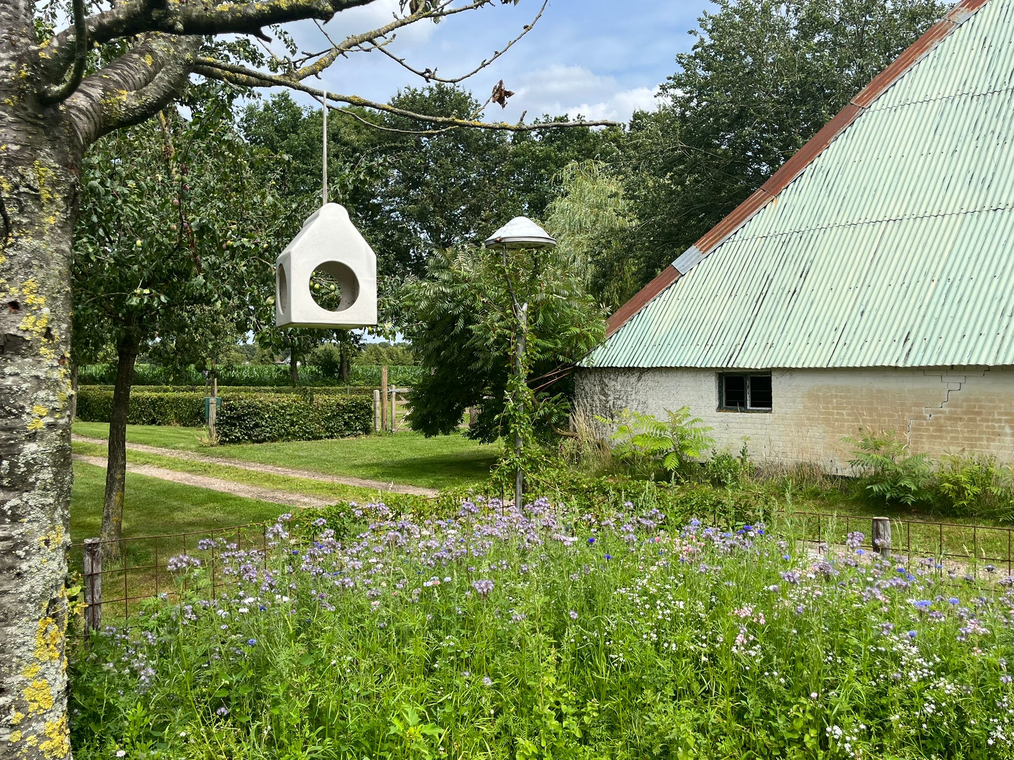 Casa nella natura a Escharen