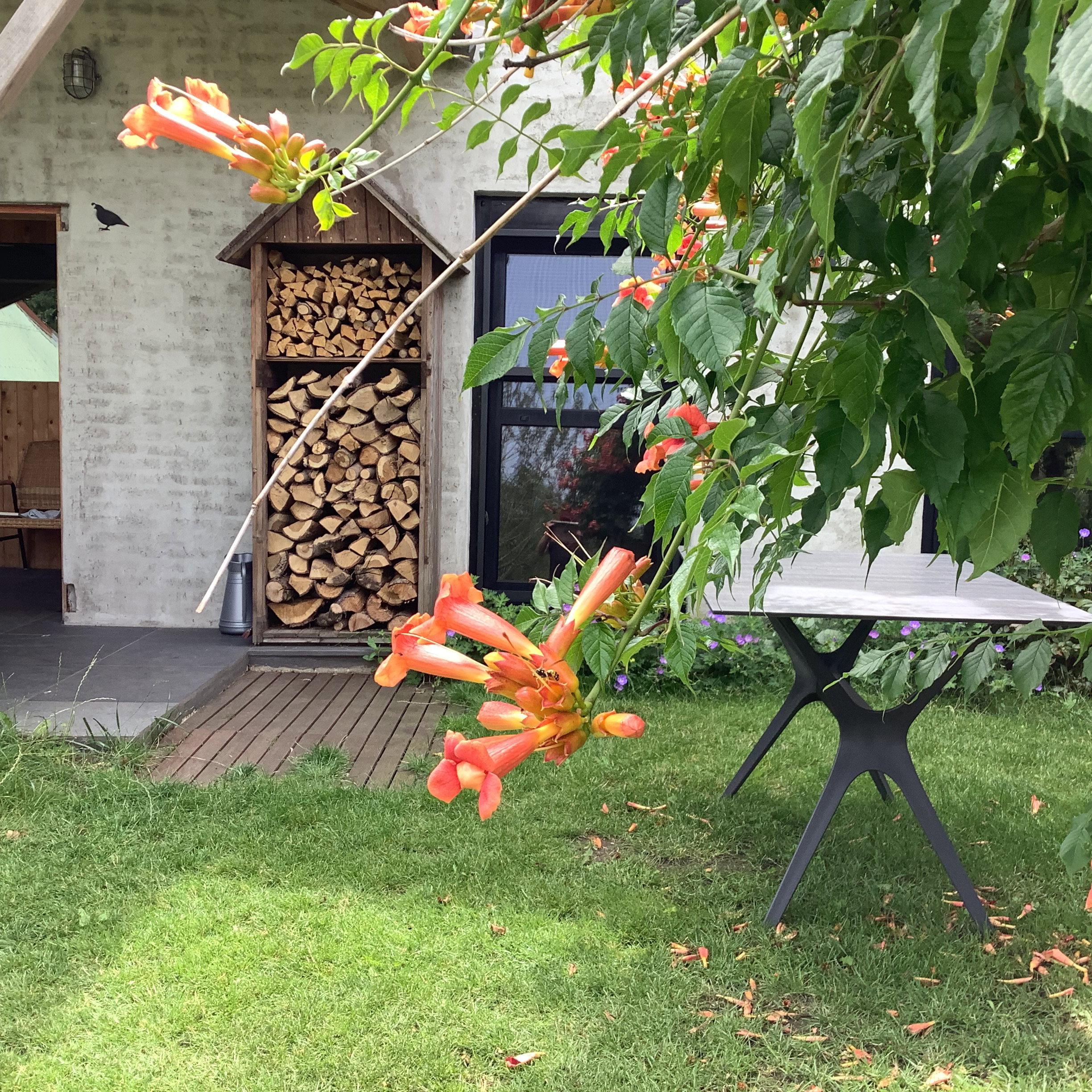 Casa nella natura a Escharen