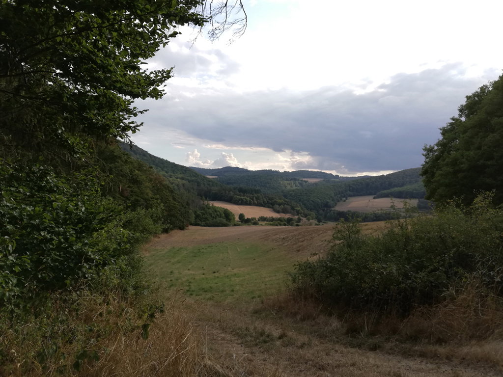 - image: 40