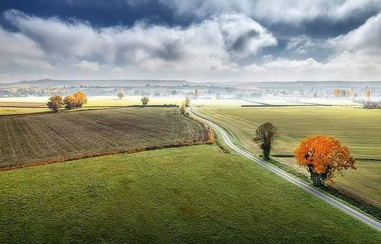 - image: 22