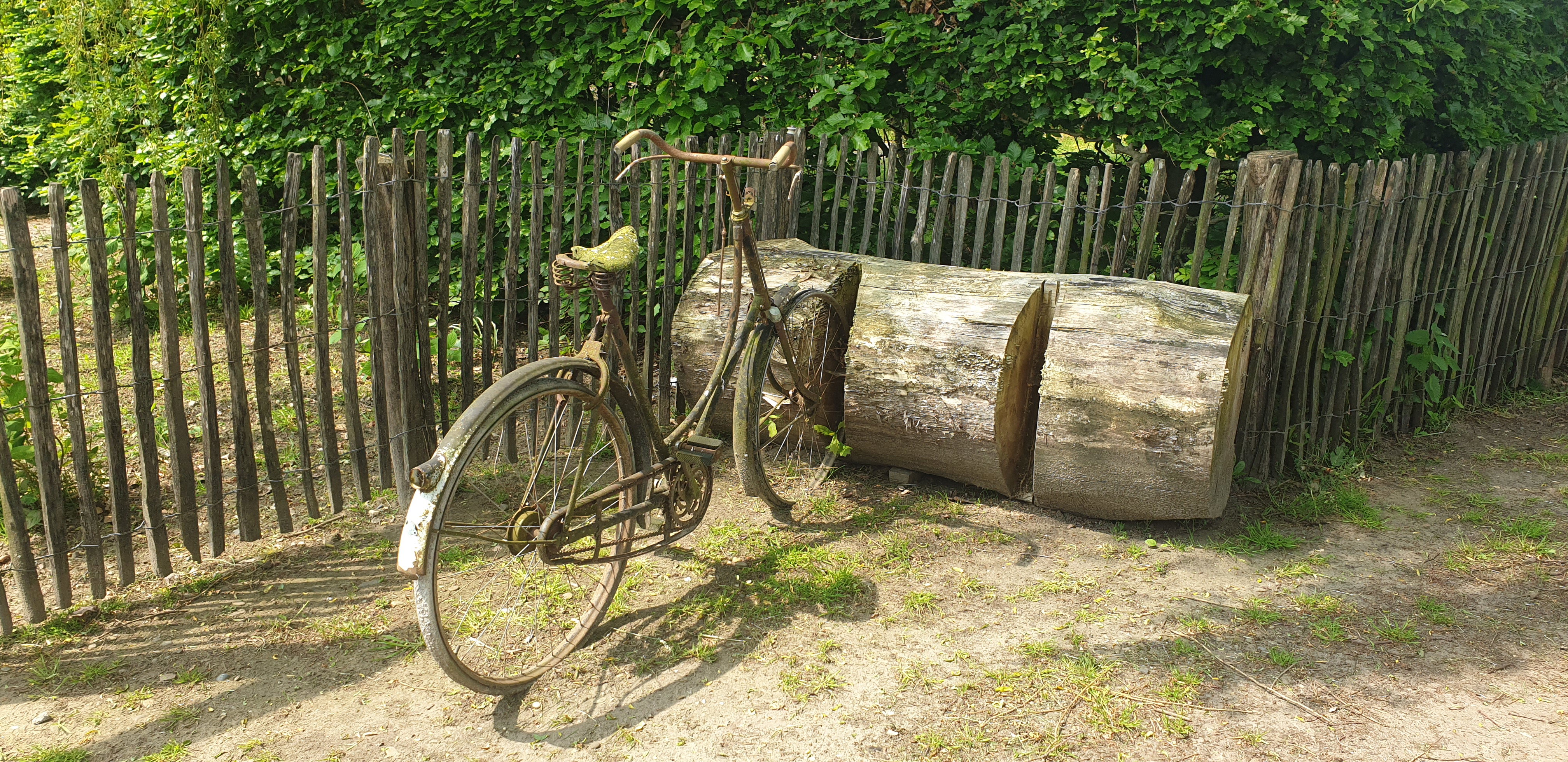 Natuurhuisje in Aarle-Rixtel