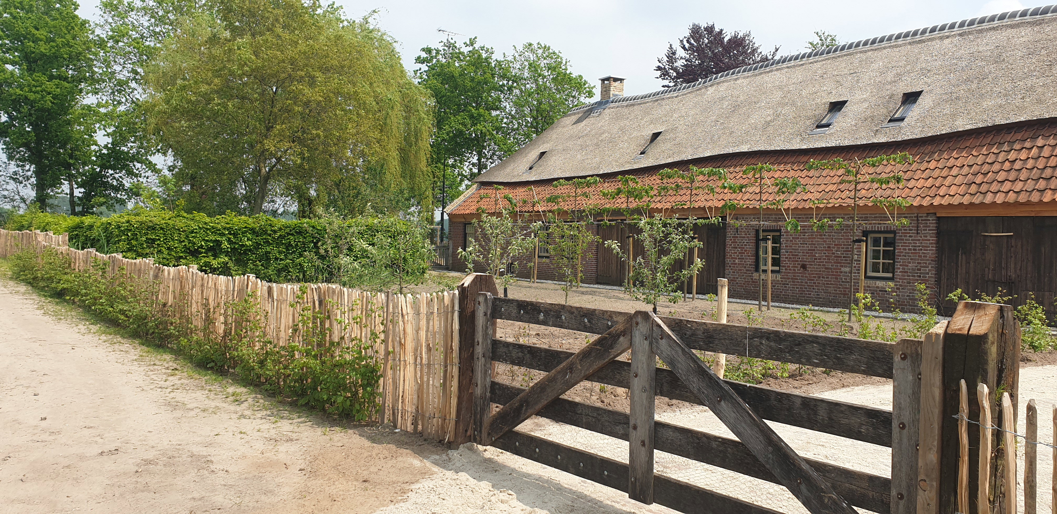 Natuurhuisje in Aarle-Rixtel