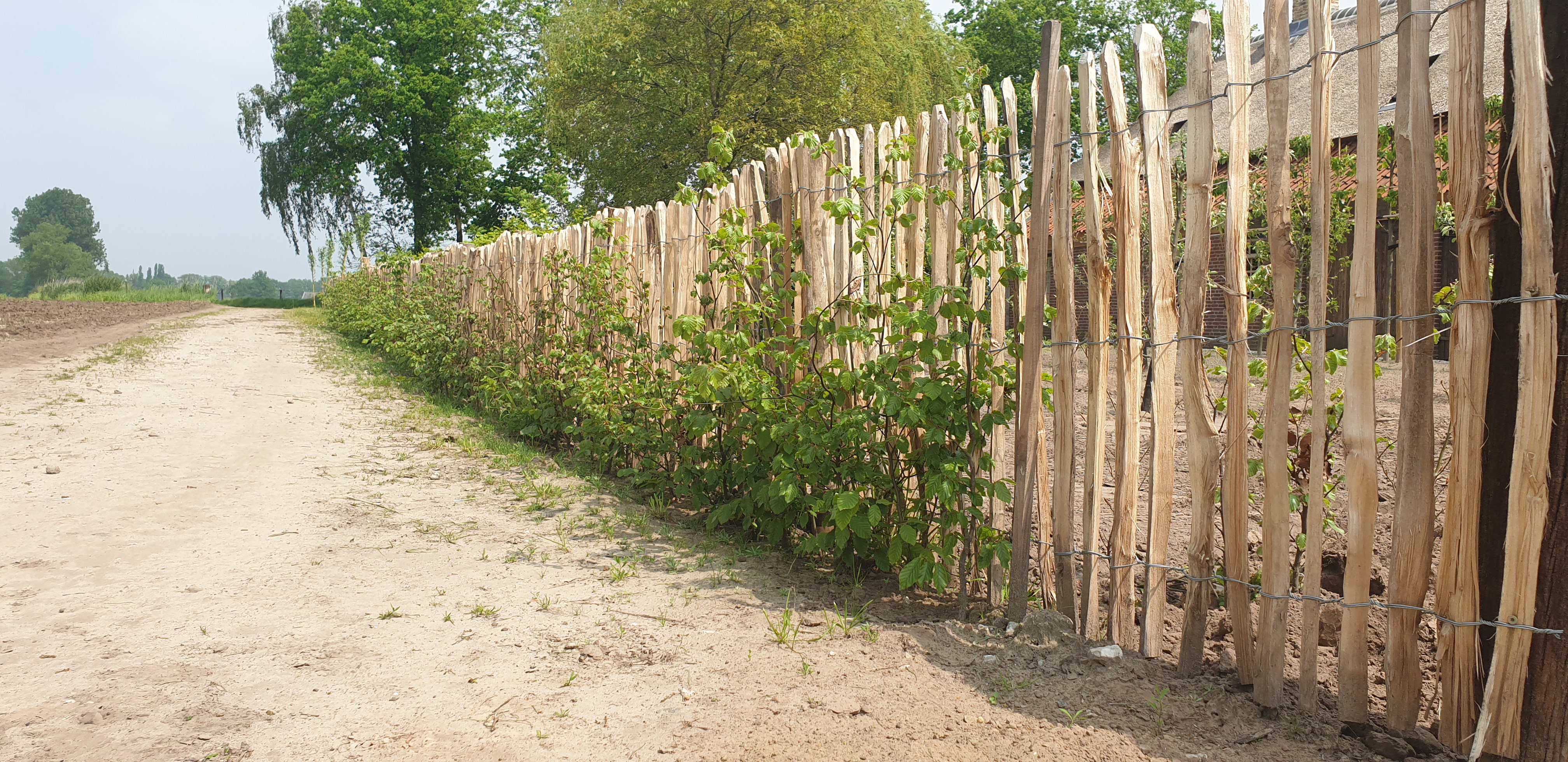 Natuurhuisje in Aarle-Rixtel
