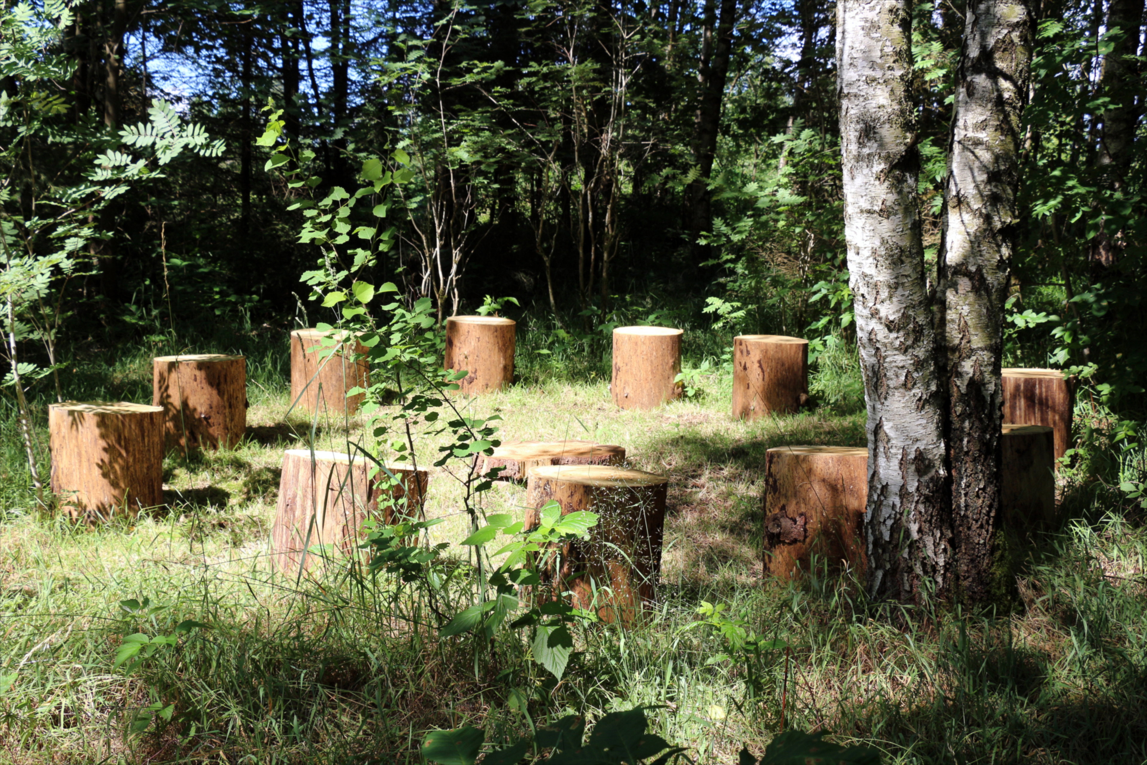 Natuurhuisje in Elbingerode