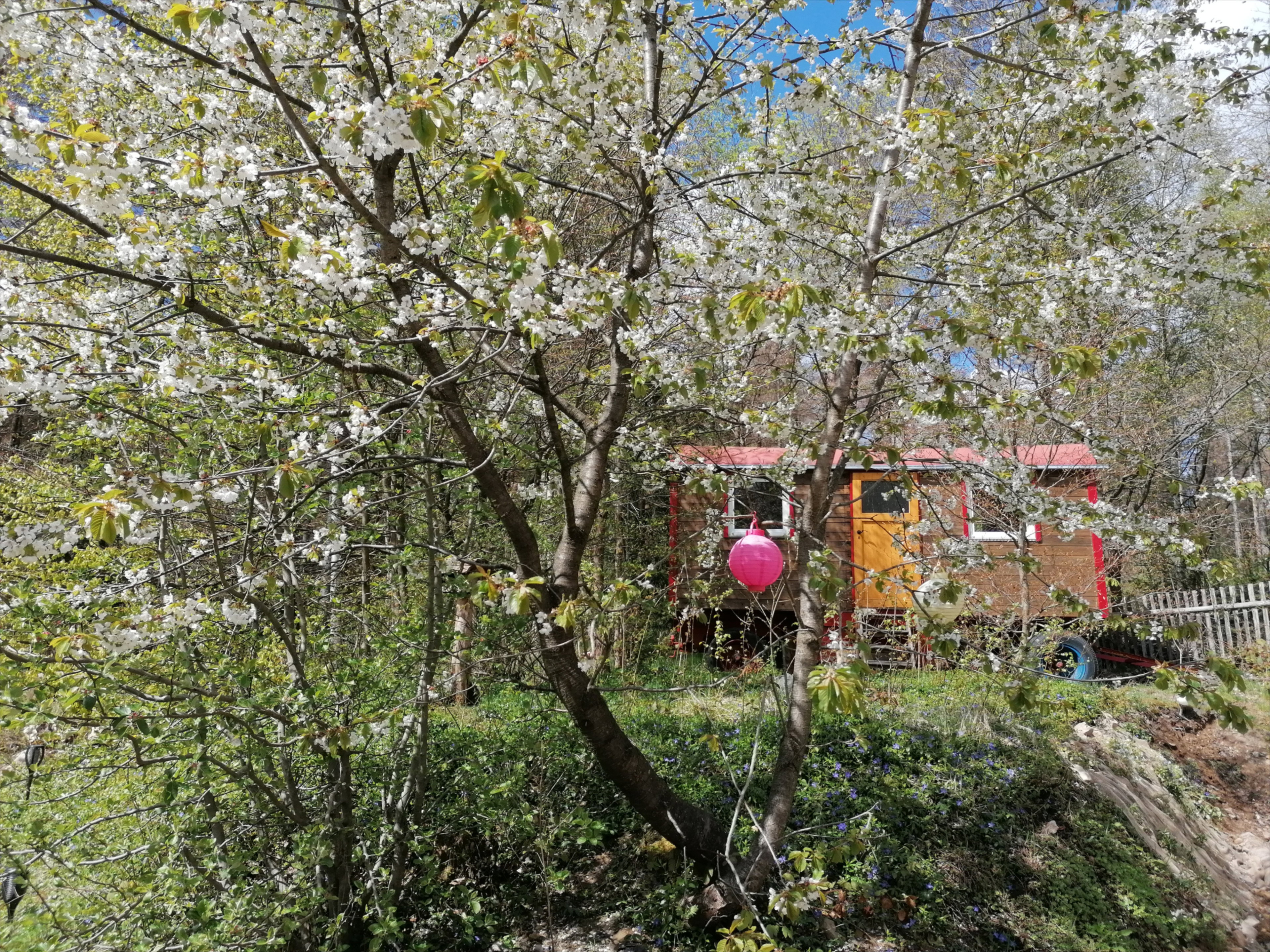 Natuurhuisje in Elbingerode