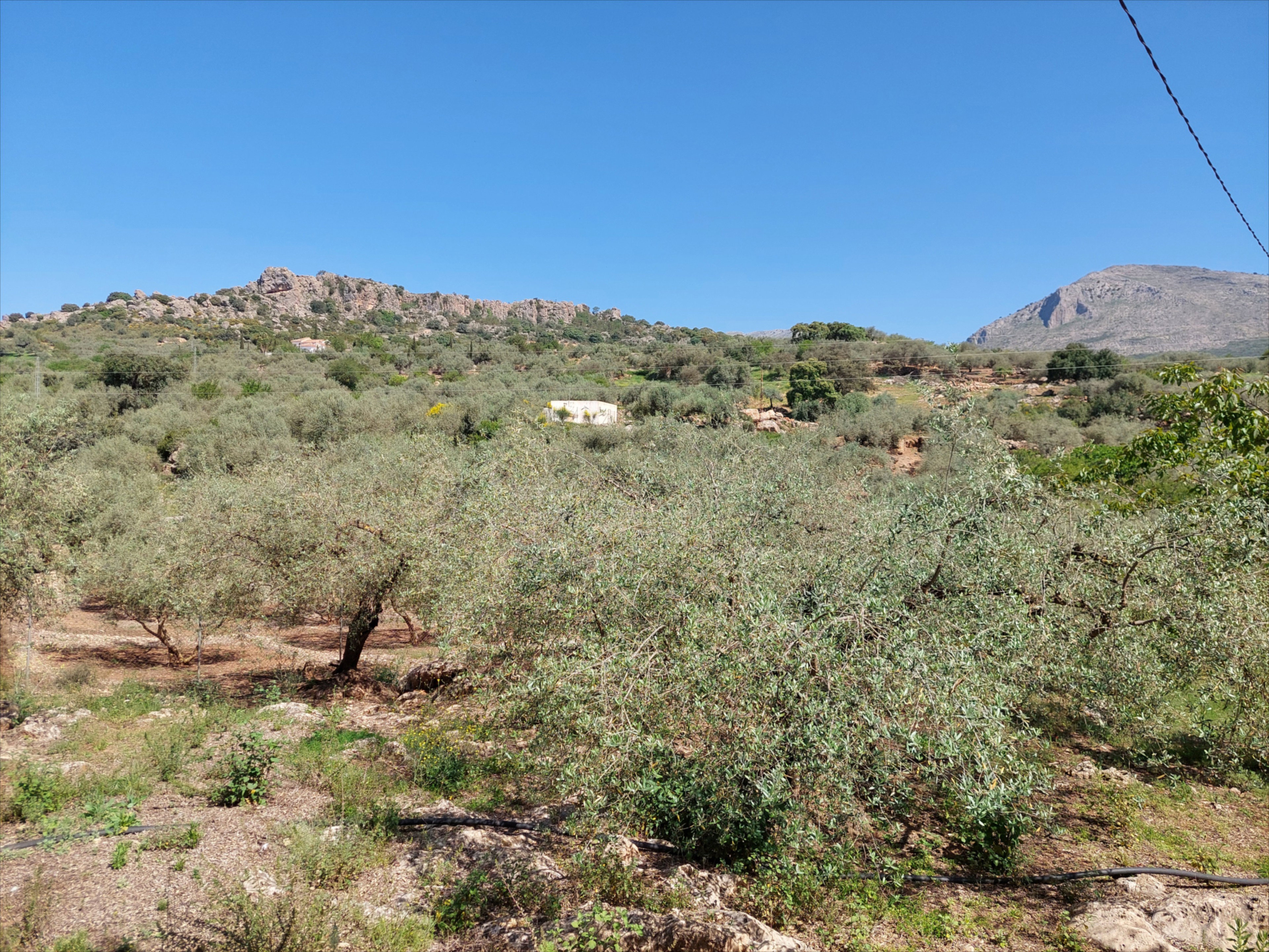 - image: 26
