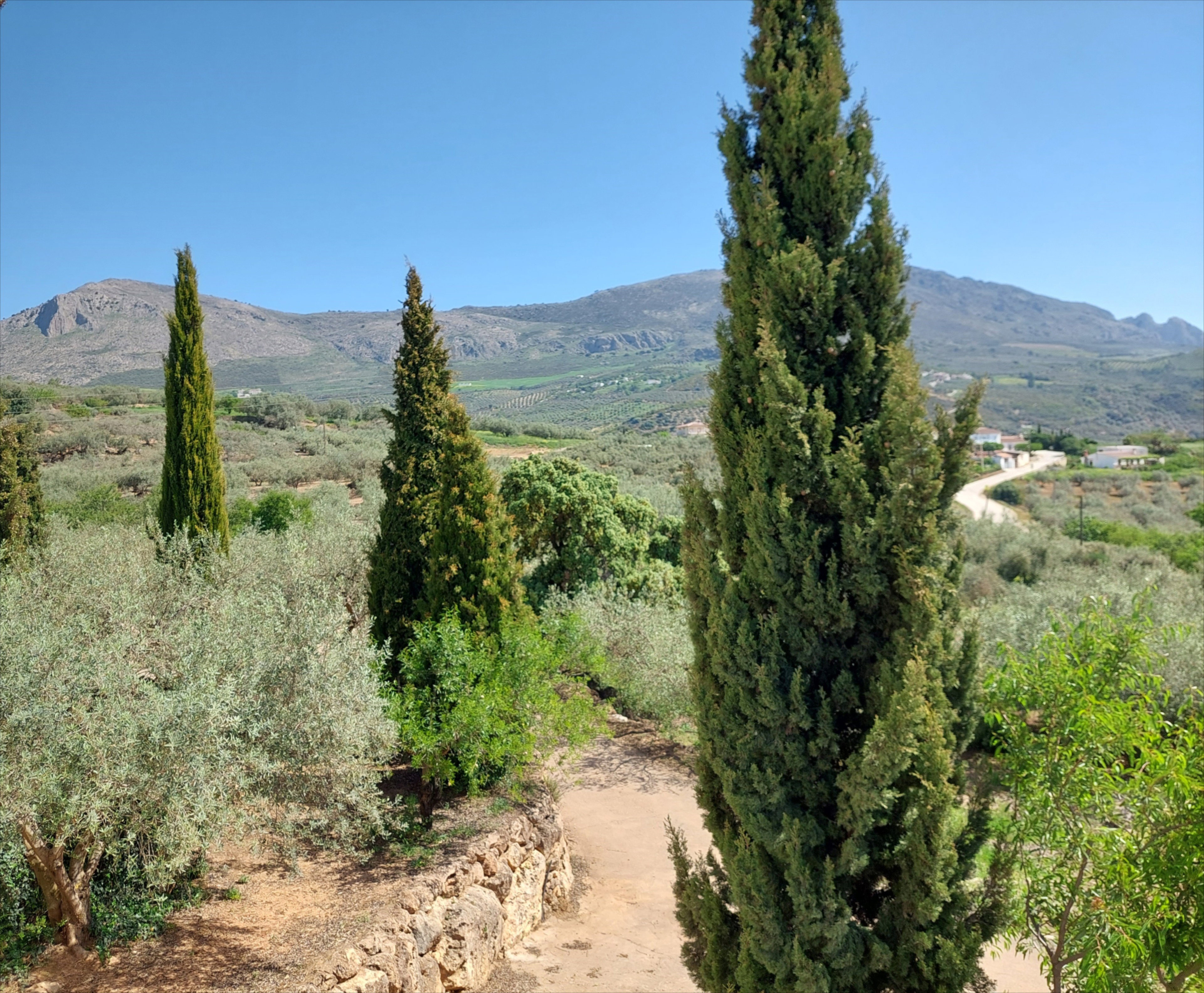 - image: 16