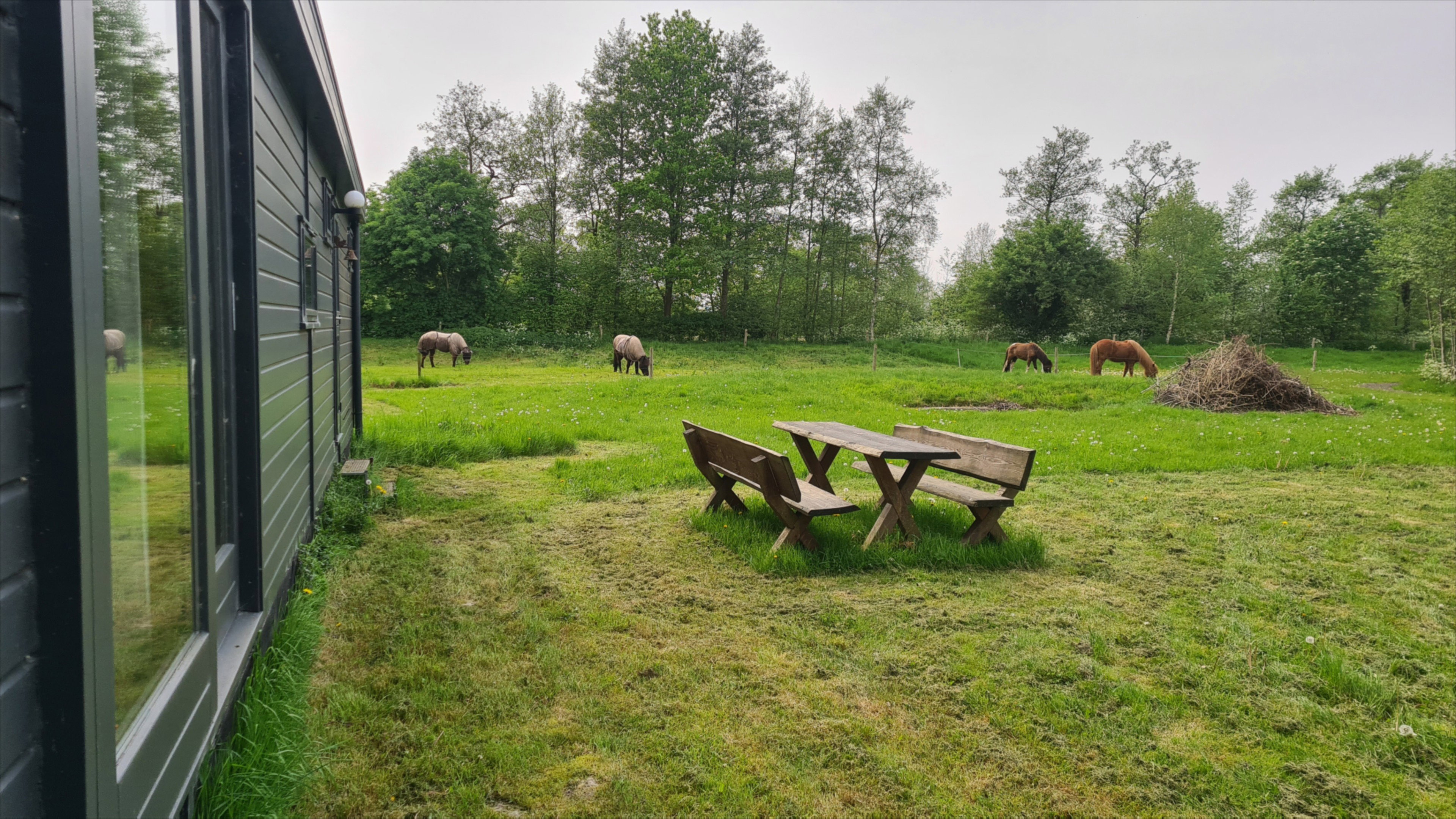 Naturhäuschen in Niebert