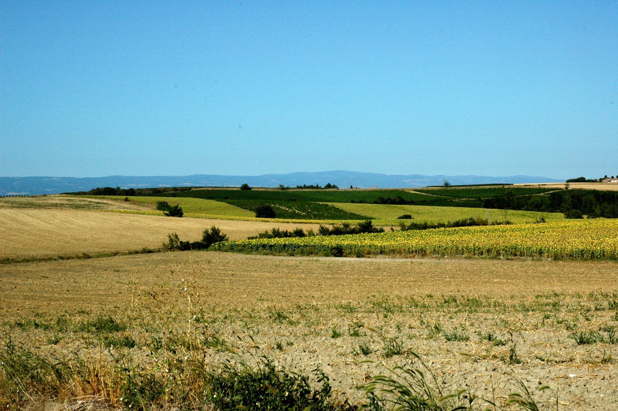 - image: 17