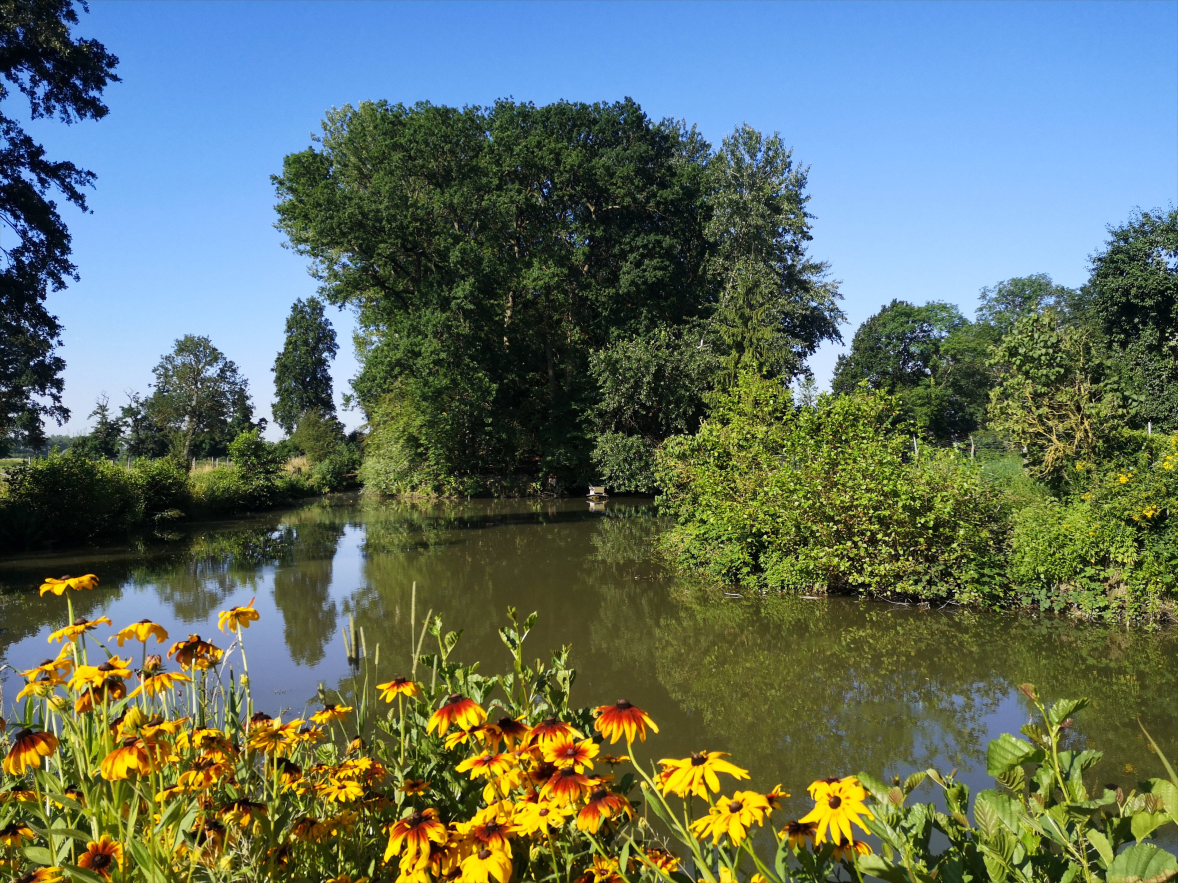 Nature house in Hornaing