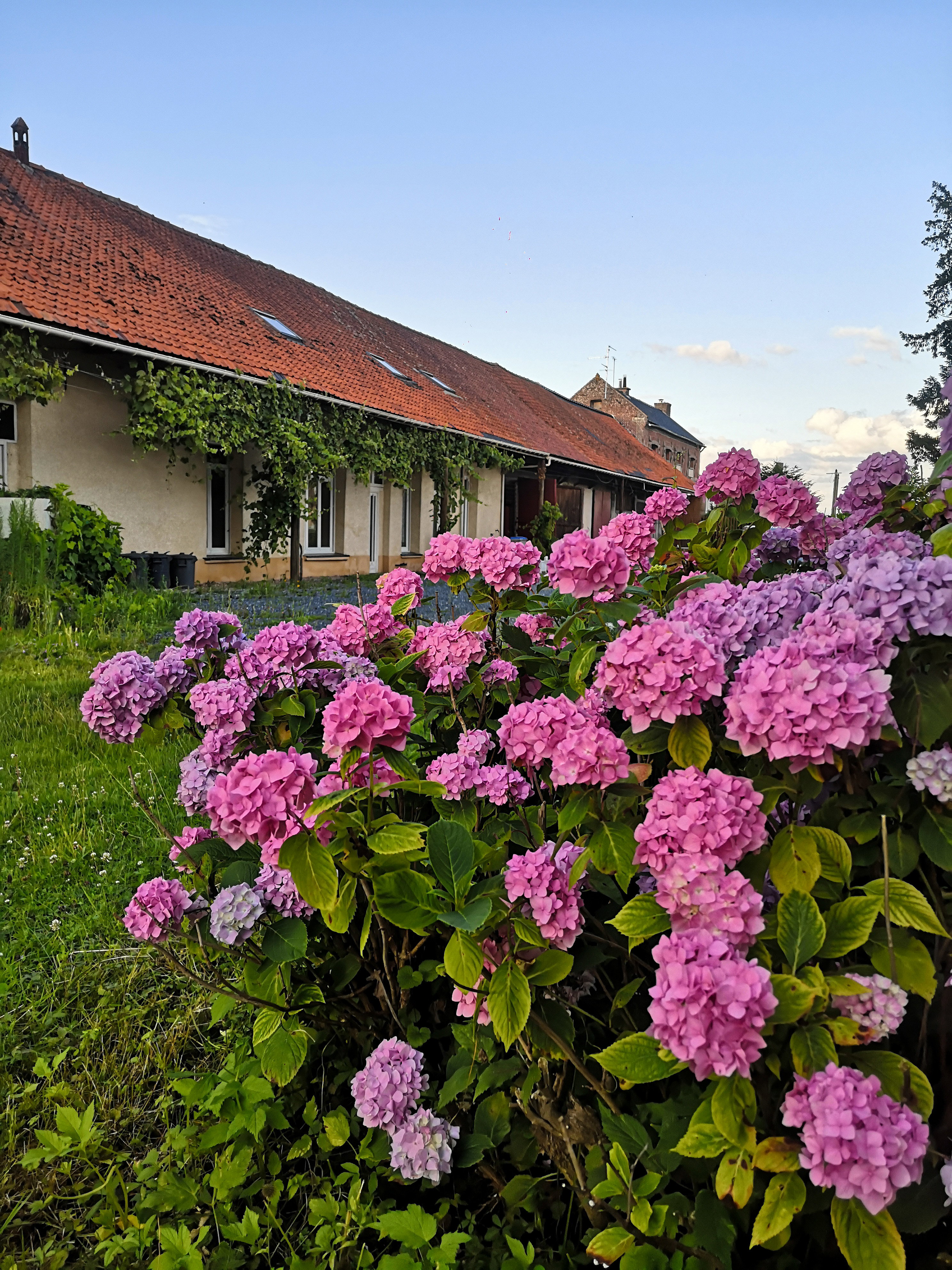 Nature house in Hornaing