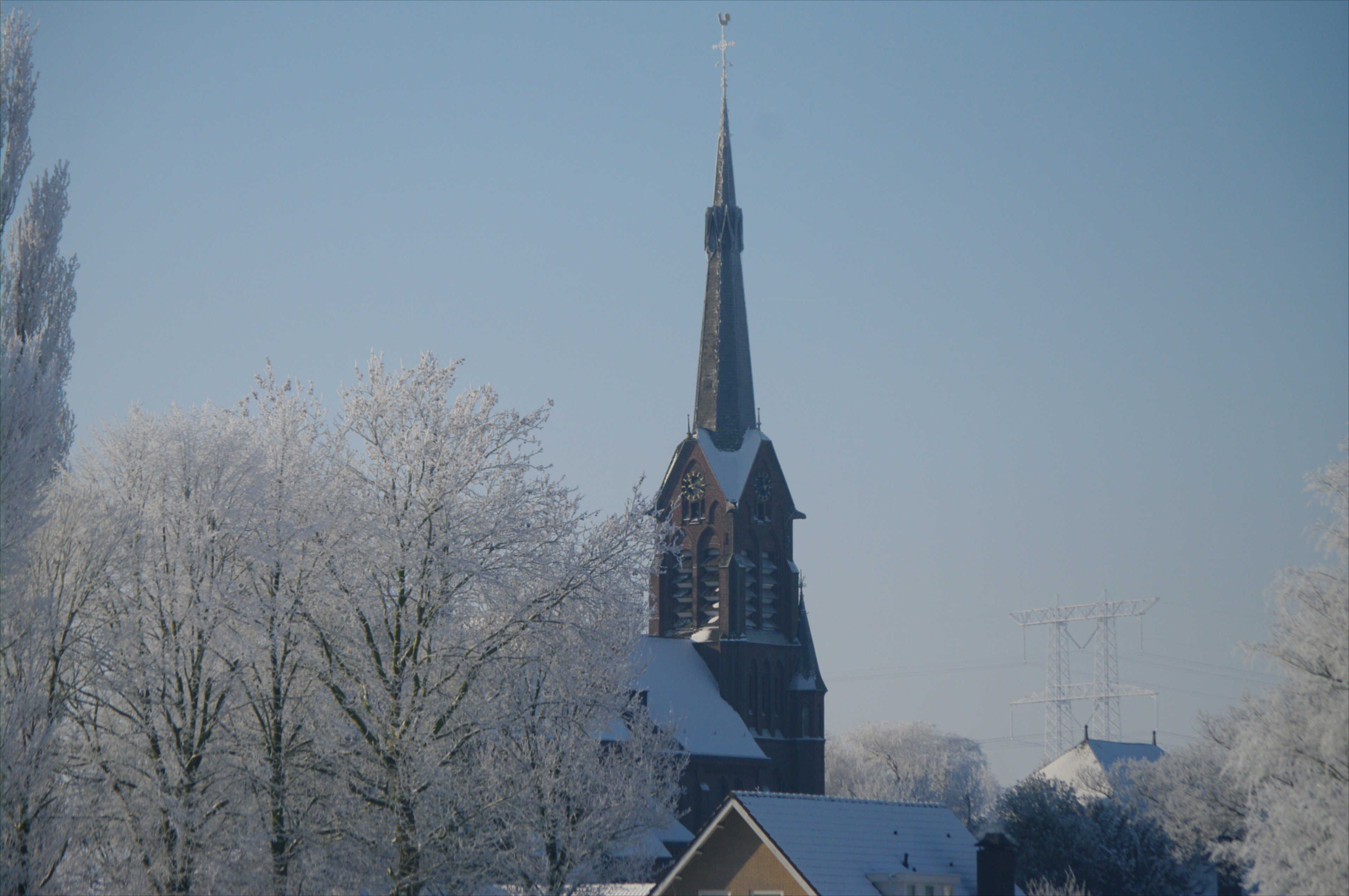 - image: 11