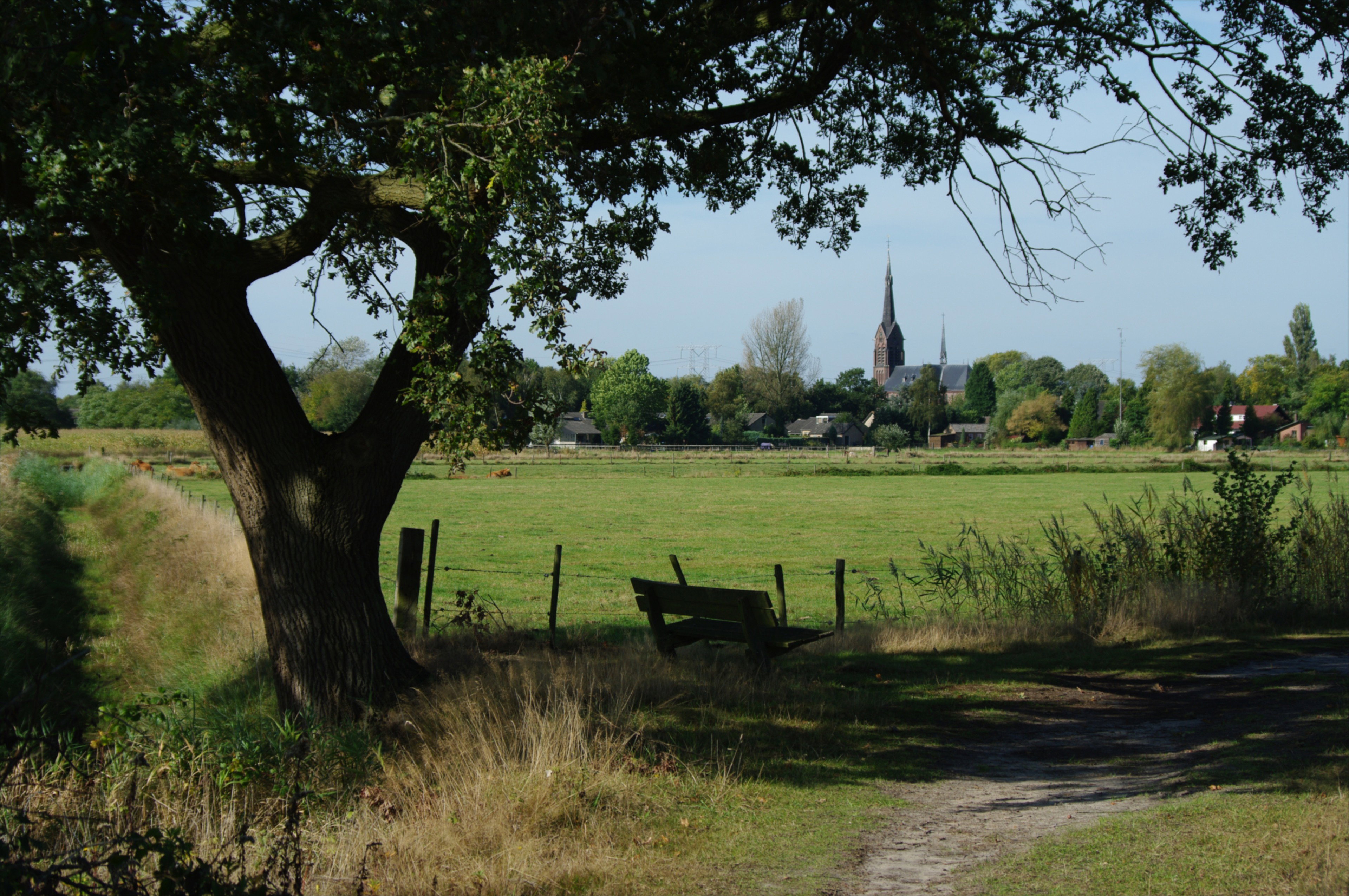 - image: 12