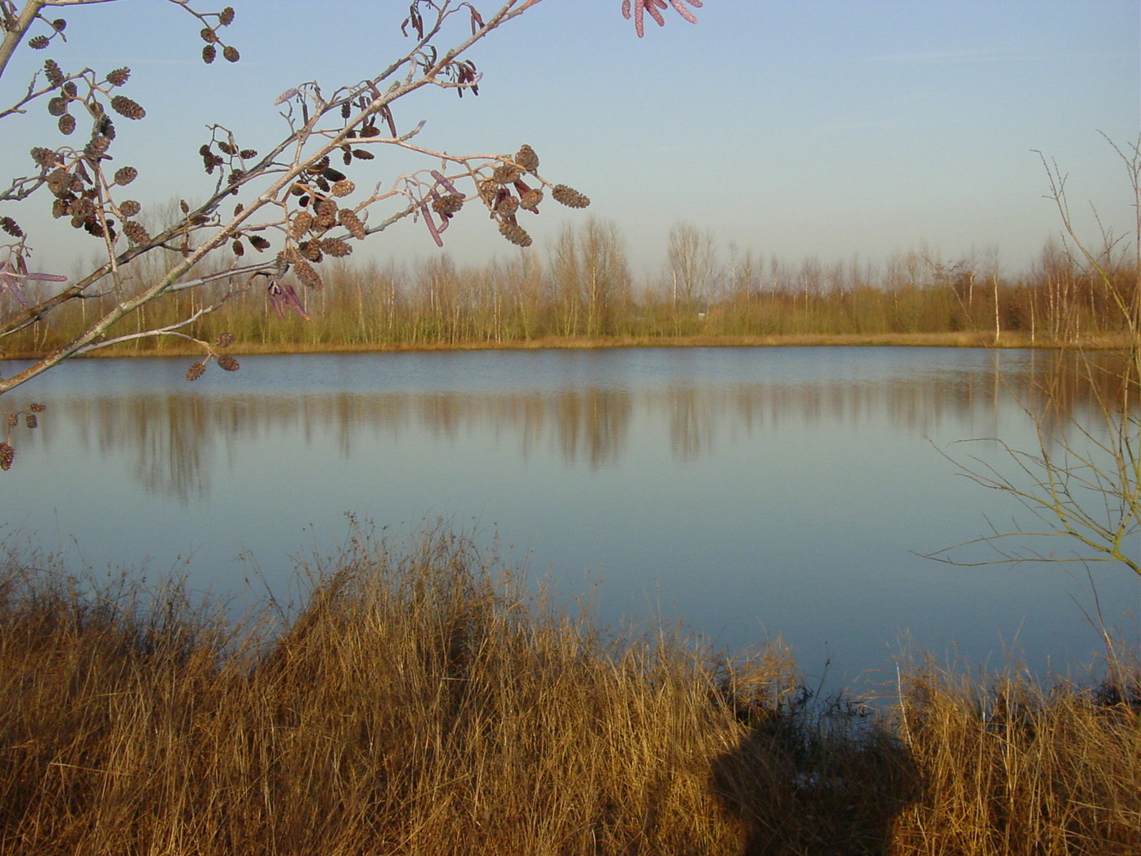 - image: 13