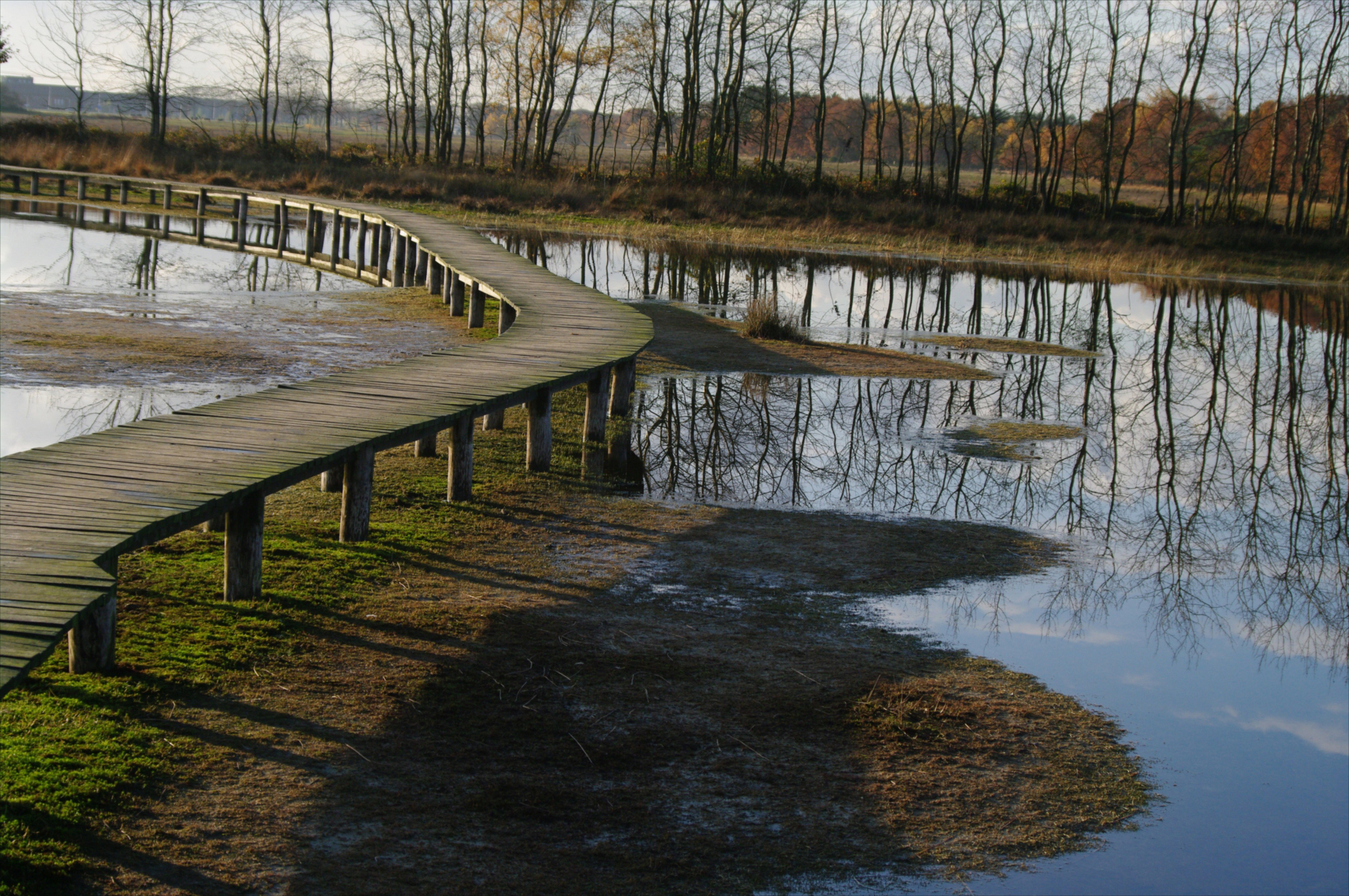 - image: 17